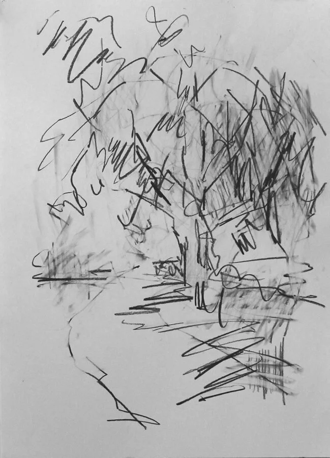 Oak tree Hawkhurst, summer. No.1.JPG