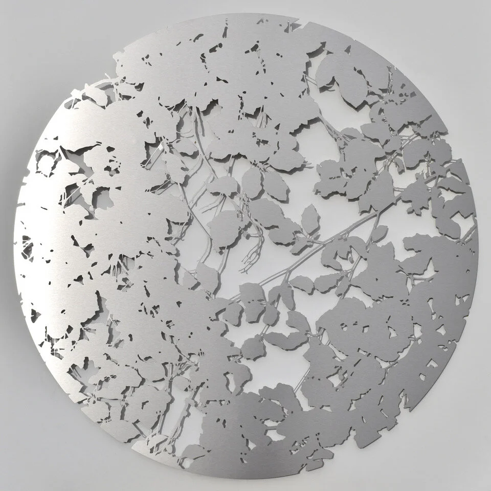 Copper Beech (s:s).jpeg