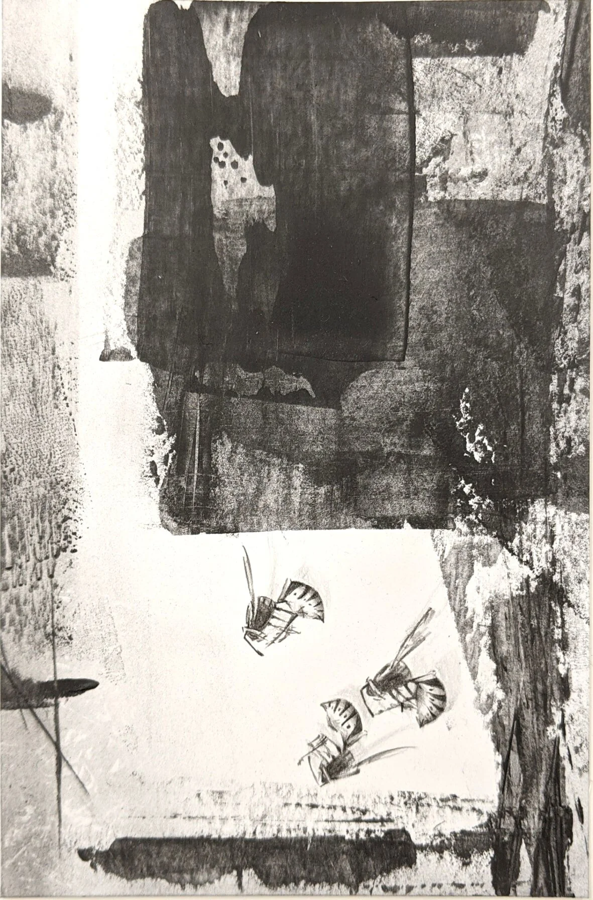 Louisa Crispin FPP010 10x15 graphite £50-min.jpg
