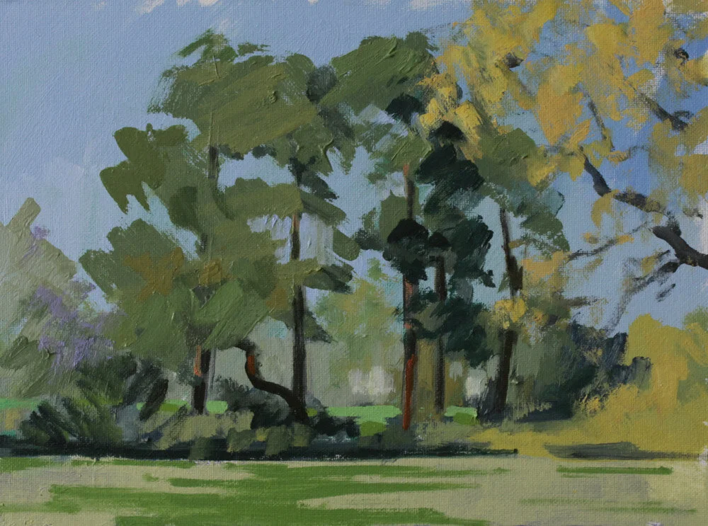 Scots pines study.JPG