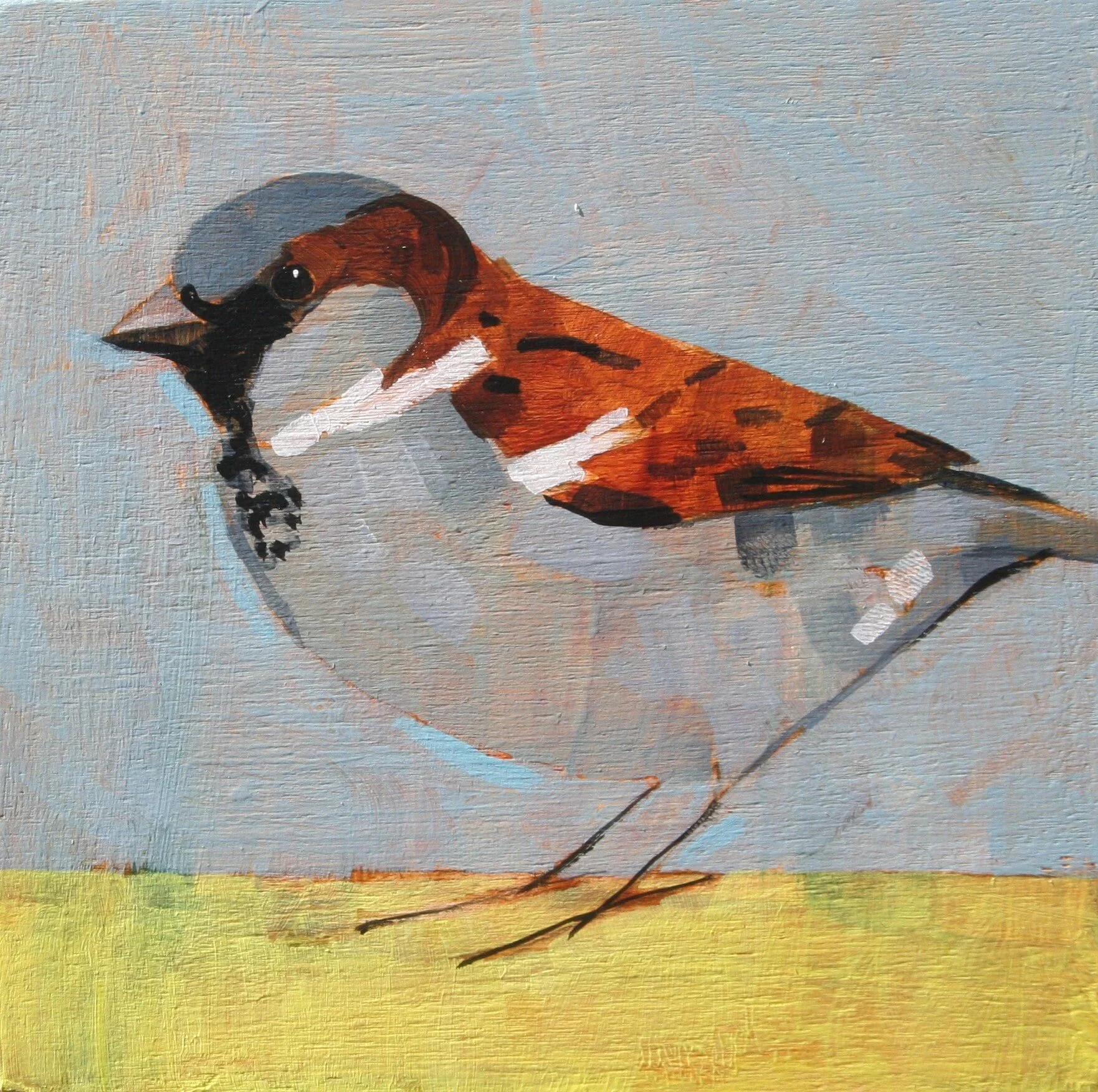 Christopher Rainham Sparrow 10x10cm acrylic on board £100-min.JPG