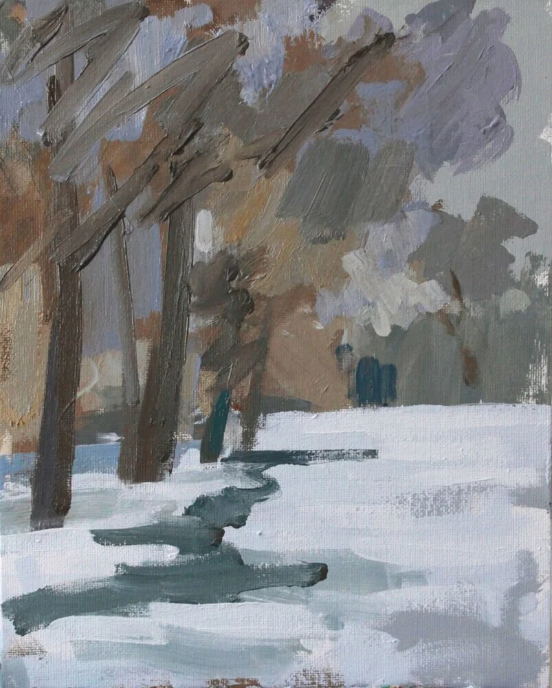 Feb.+snow+study+1.jpg
