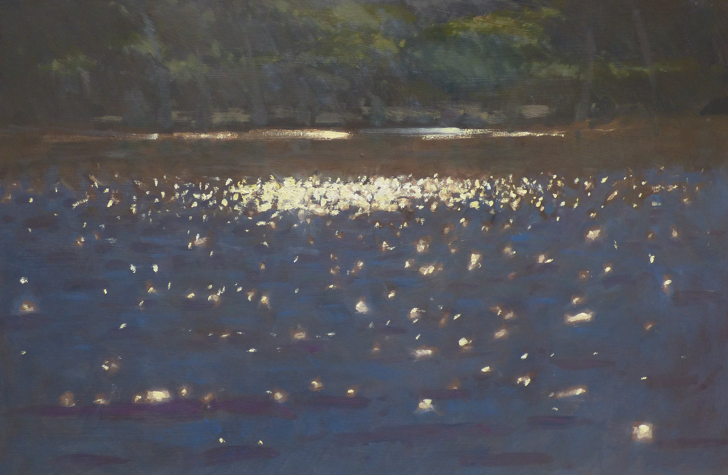 Queensmere Pond Shimmer-min.jpg