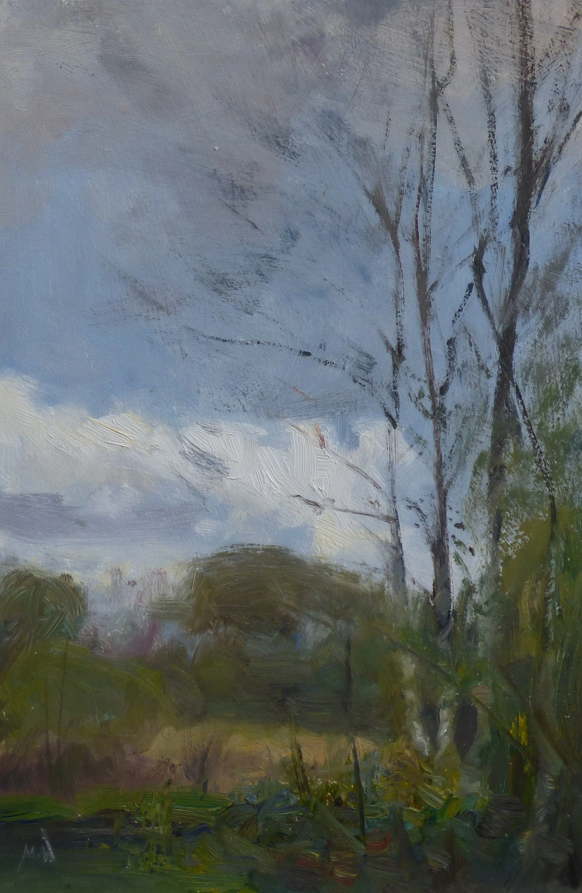 Wimbledon Common Trees-min.jpg