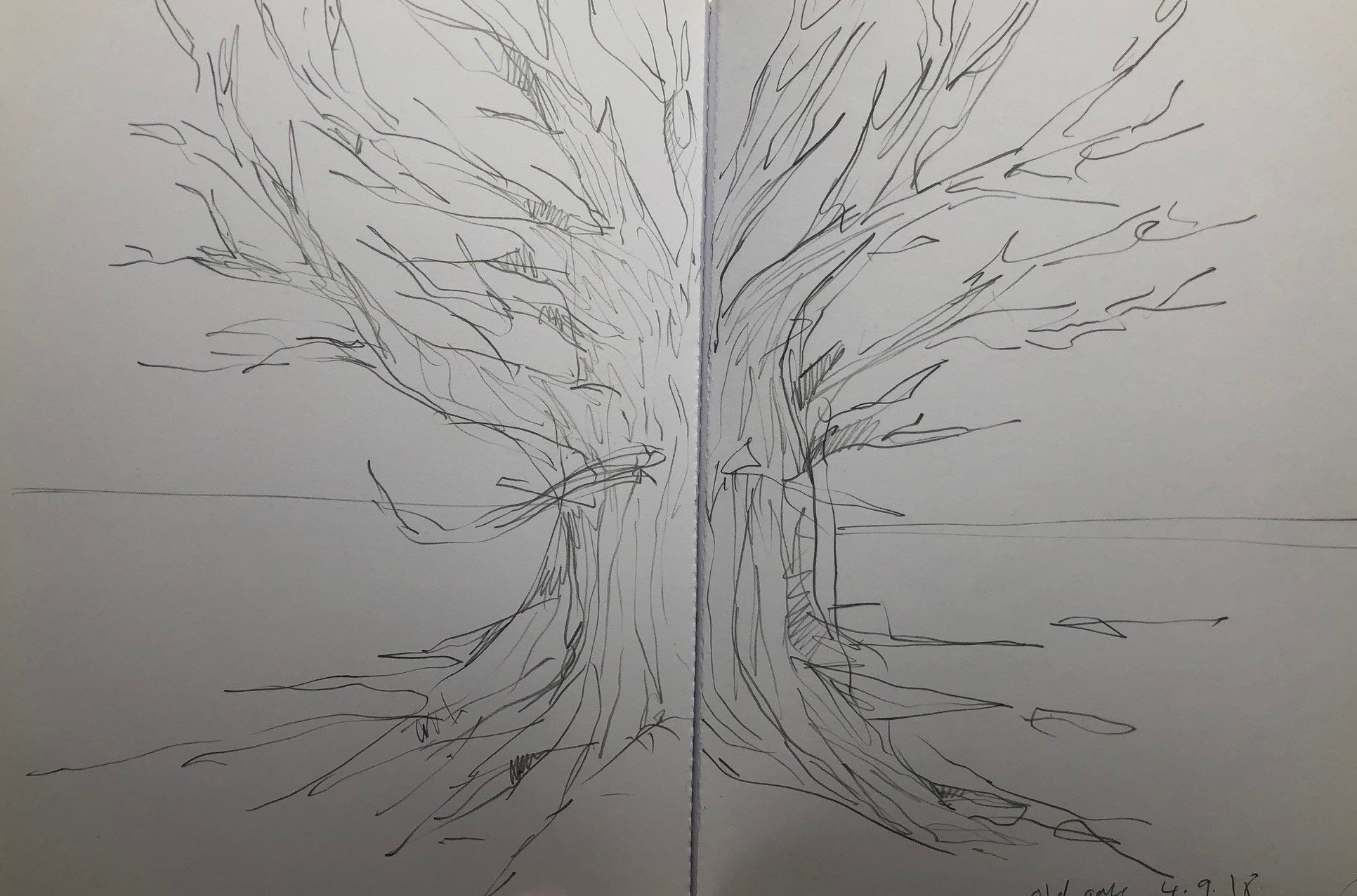 Sketchbook 4.jpg