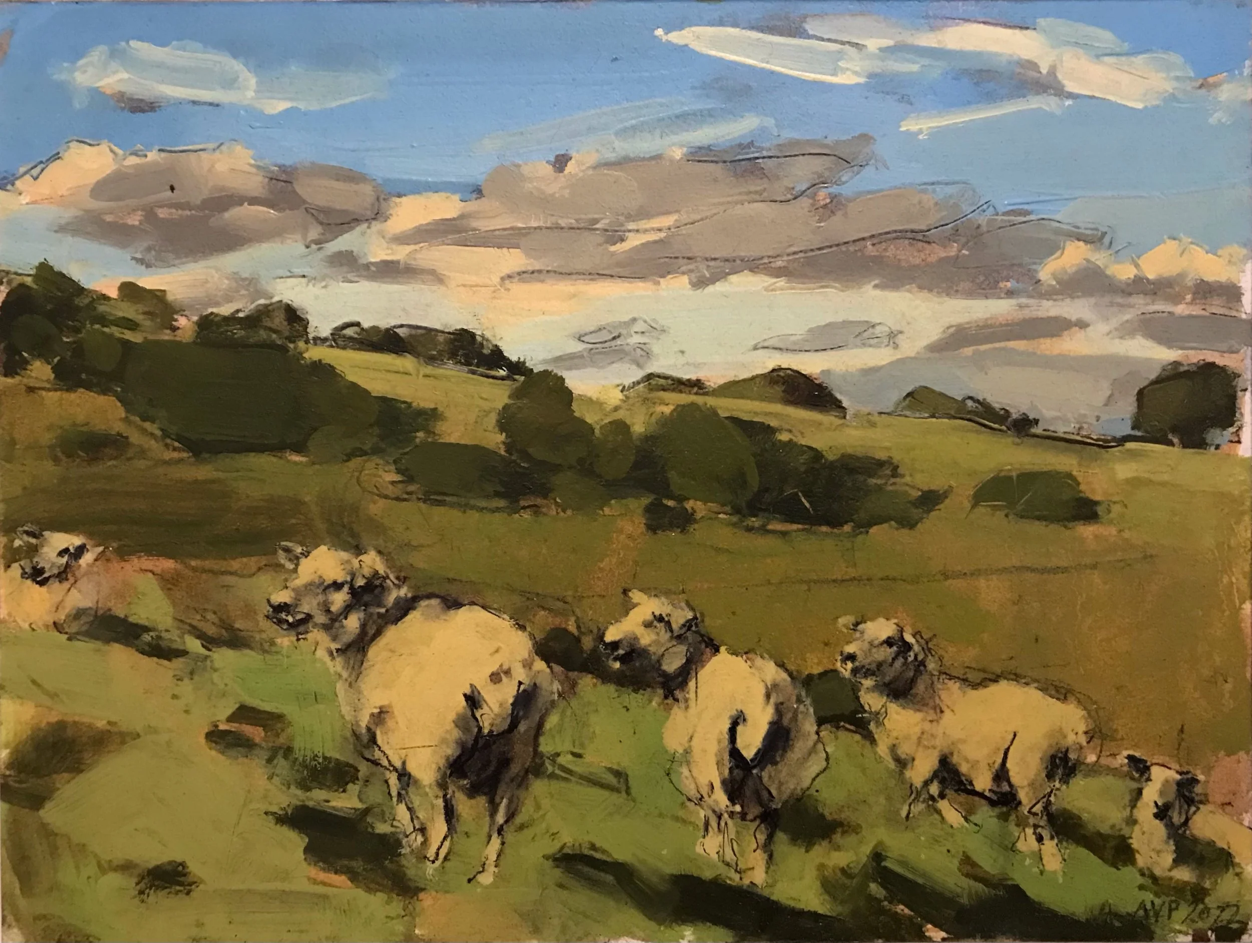 Sheep, South Downs, September II -min.jpeg