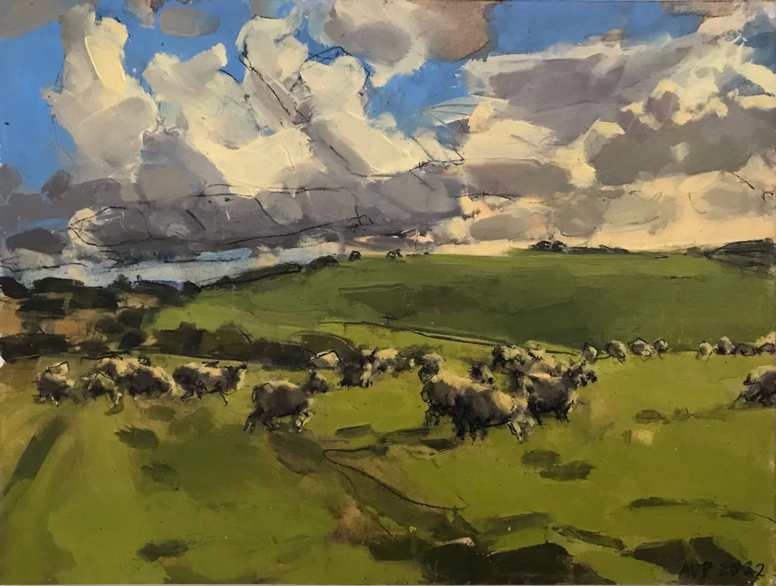 Sheep, South Downs, September III -min.jpeg