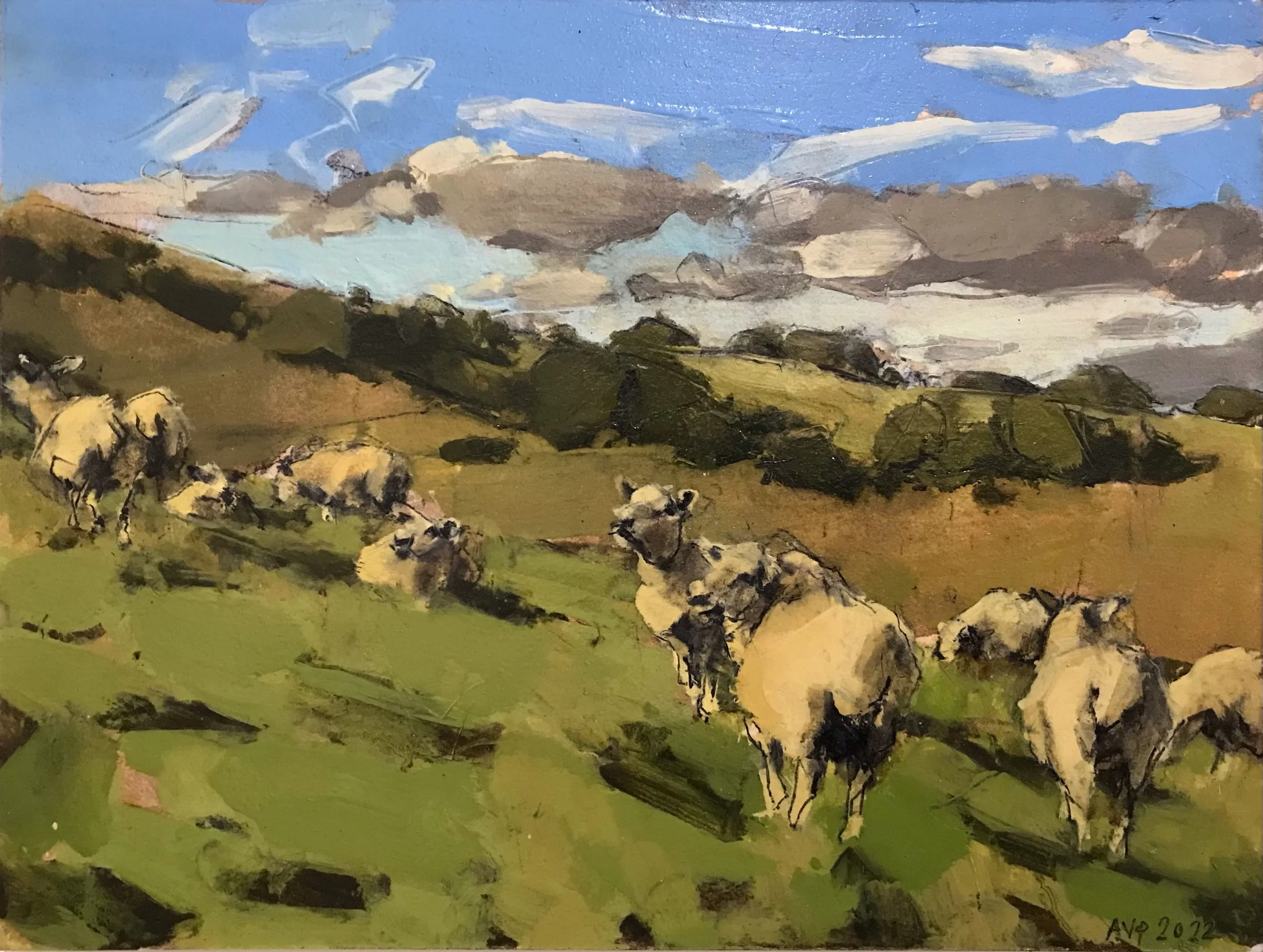 Sheep, South Downs, September IV-min.jpeg
