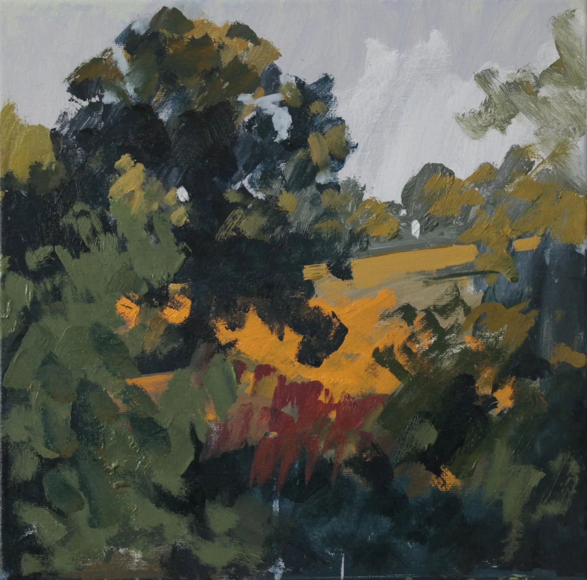 Studio view 30th July-min.JPG