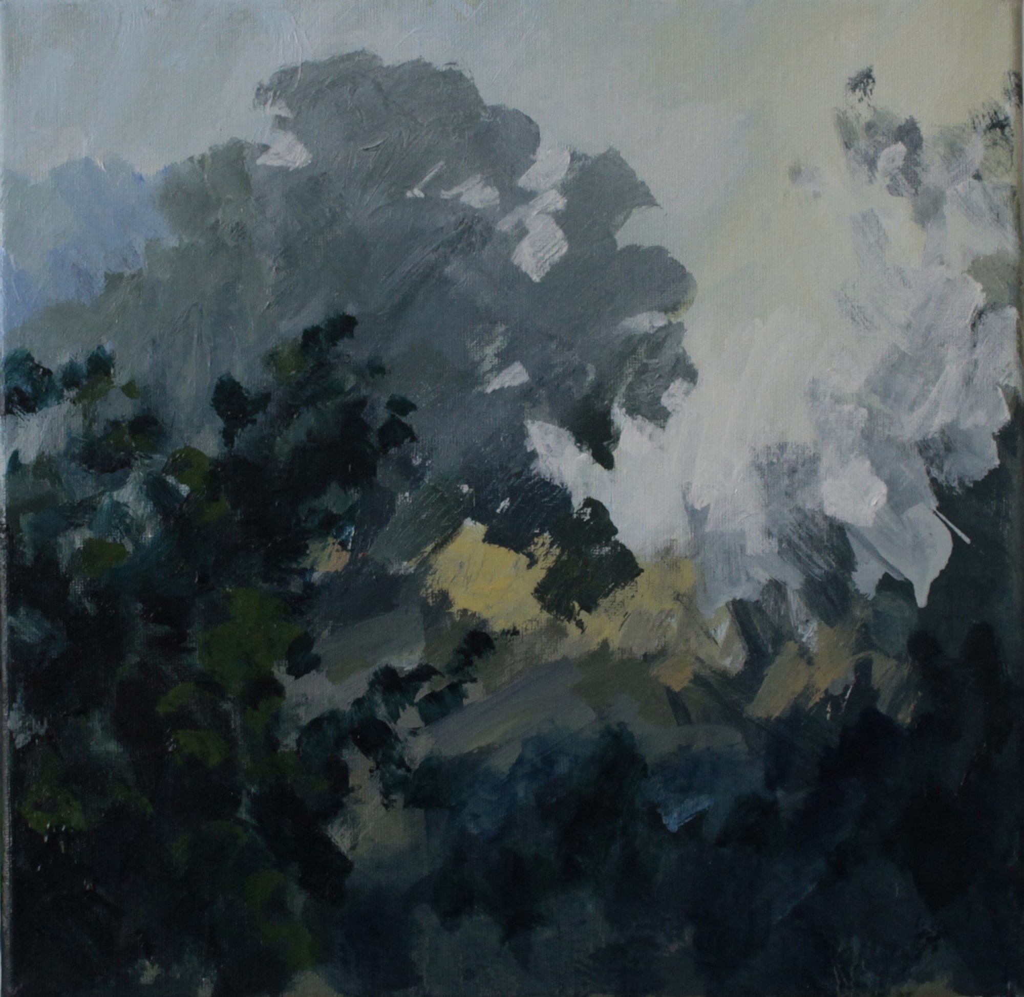 Studio view 18th Aug-min.JPG