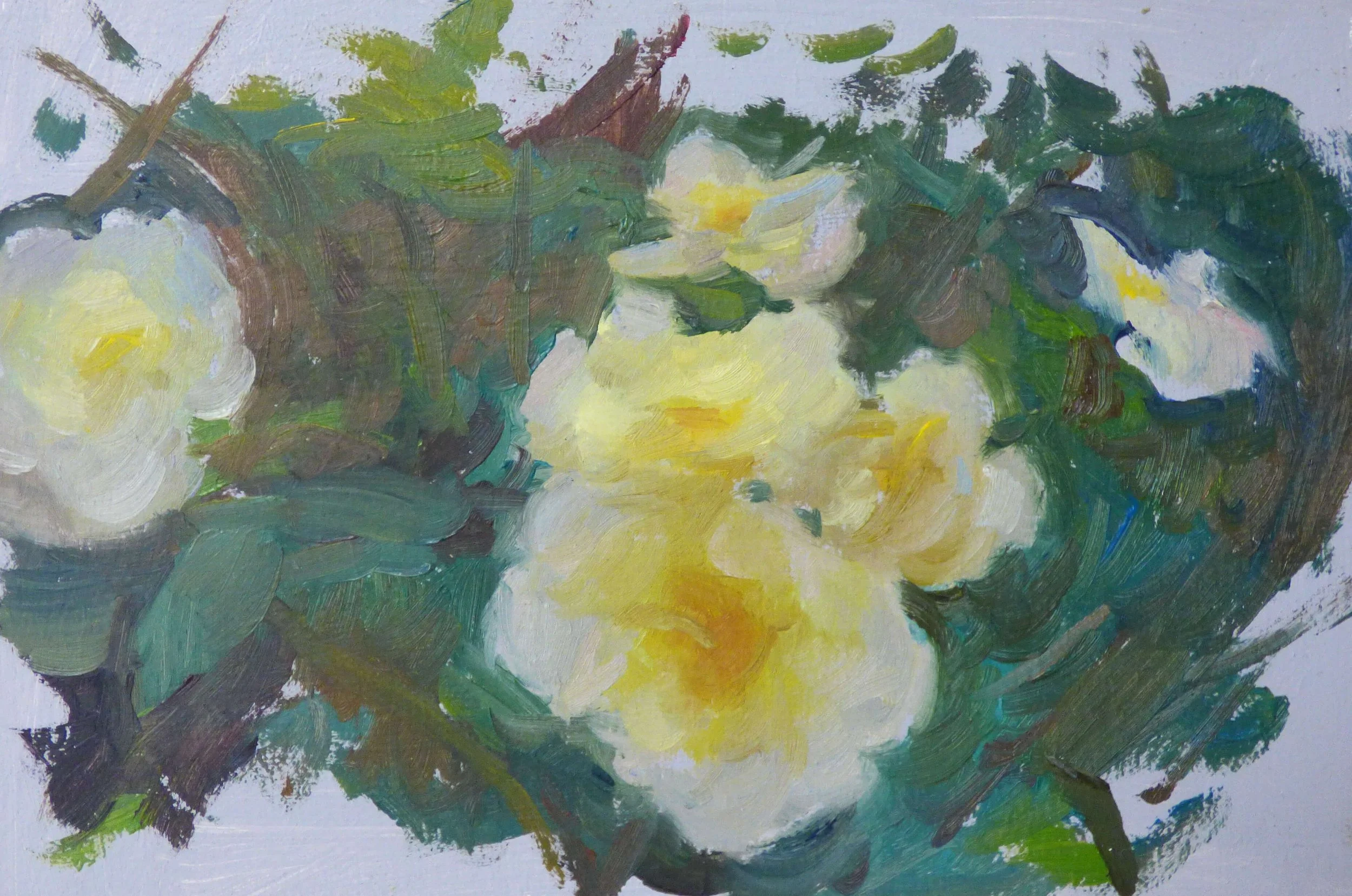 Flower Study, 6 x 4 inches.jpg