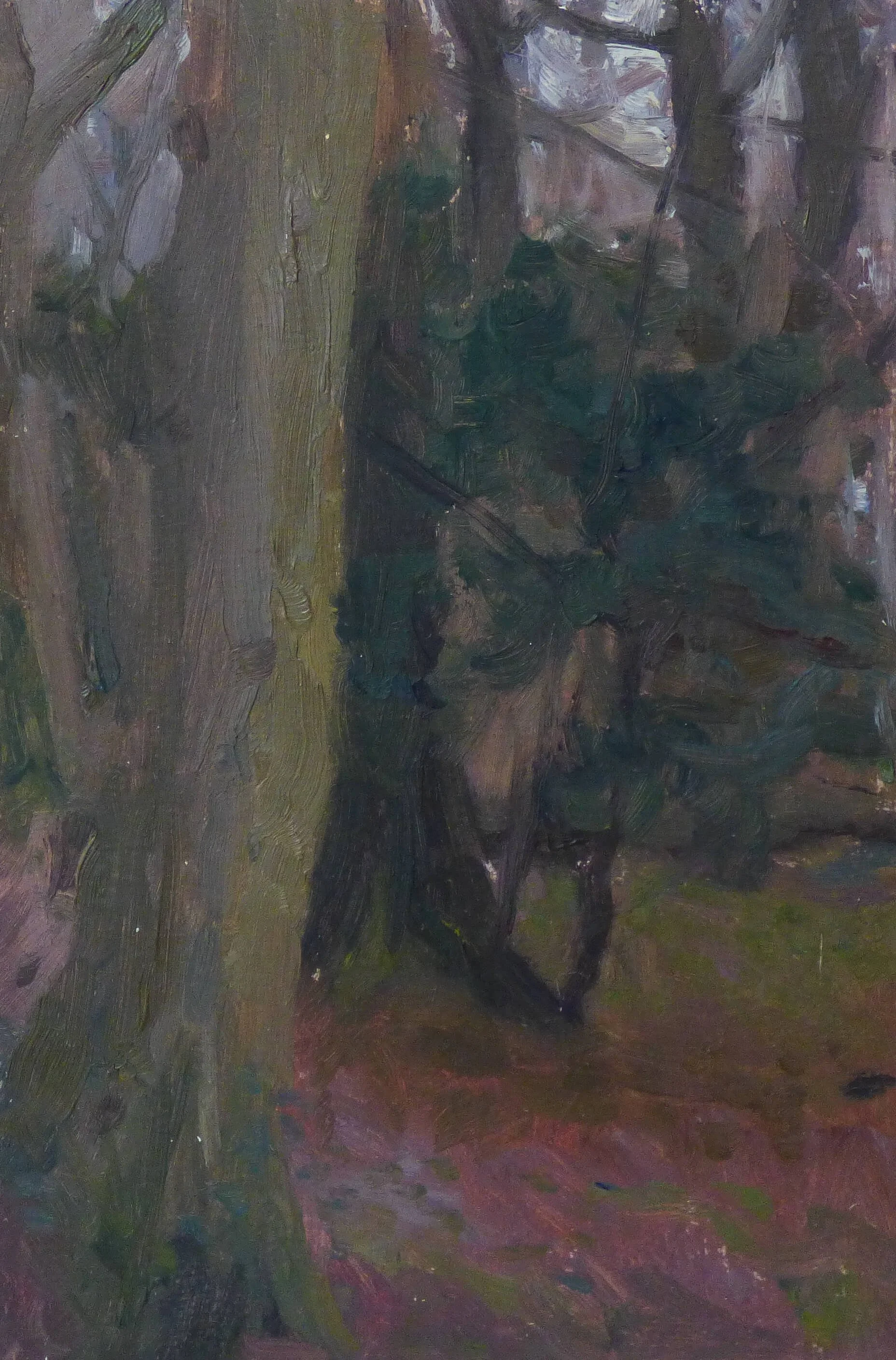 Winter Forest, 6 x 4 inches.jpg