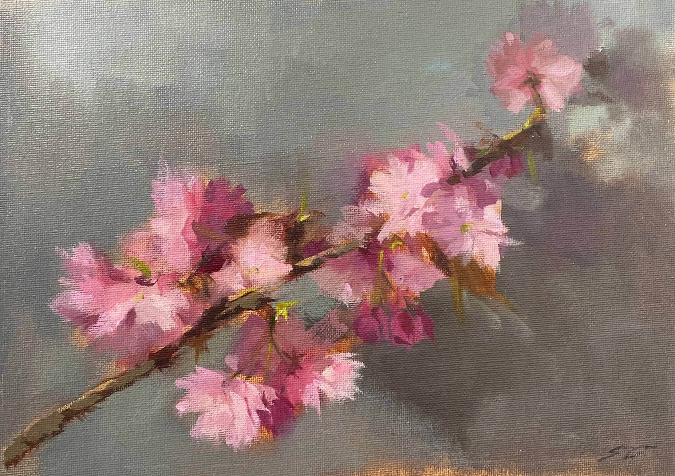 IMG_6935 Sophie M Cook.jpeg