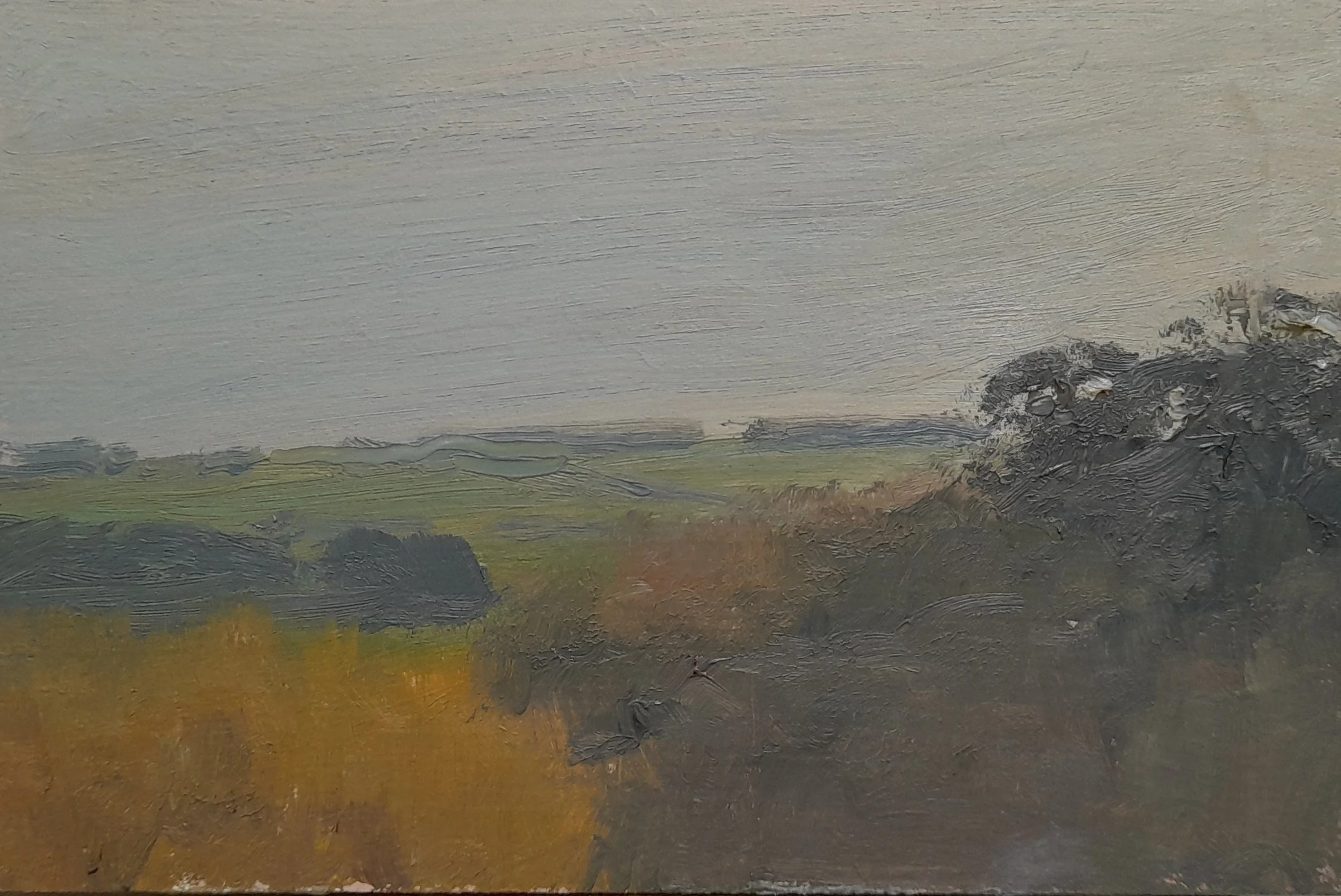 -Autumn Fields-, 4 x 6 inches, £50.jpeg