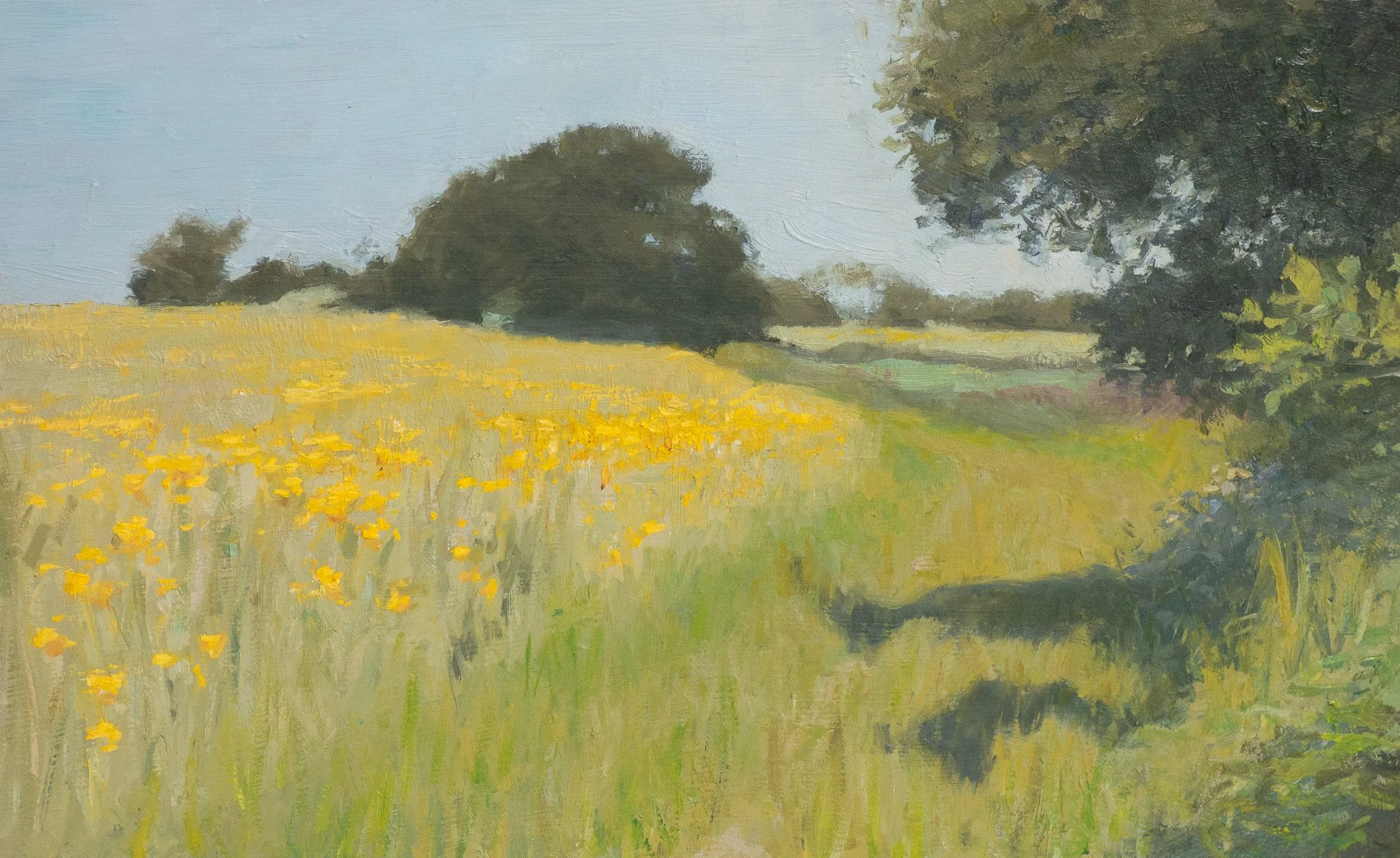 June Meadow.jpg