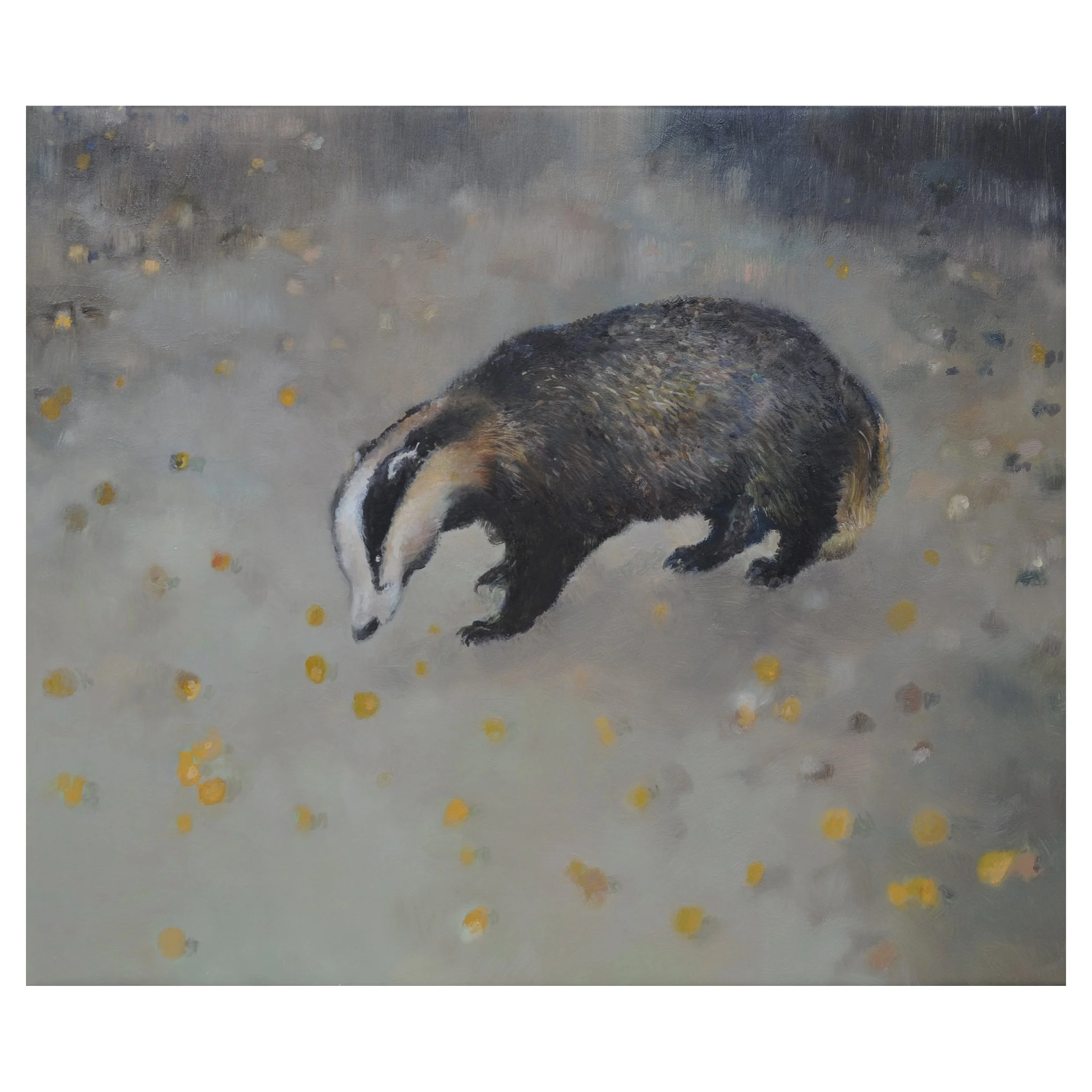 Anna.Dickerson_Badger.plum.feast_oil.on.canvas_30.5x35.6cm_425GBP Anna Dickerson.jpg