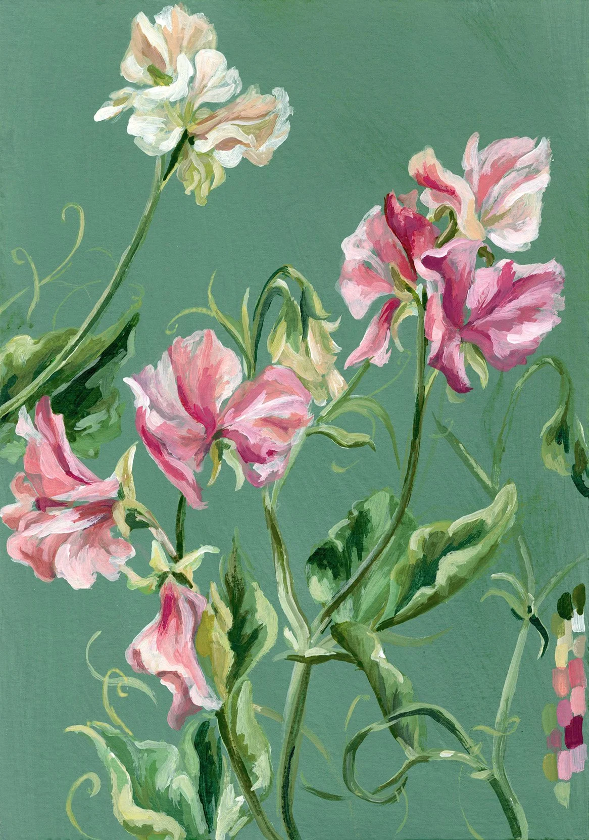 Chloe Gregory_Sweet Pea V_£95_14.5cmx21cm_Gouache and acrylic on paper.jpg
