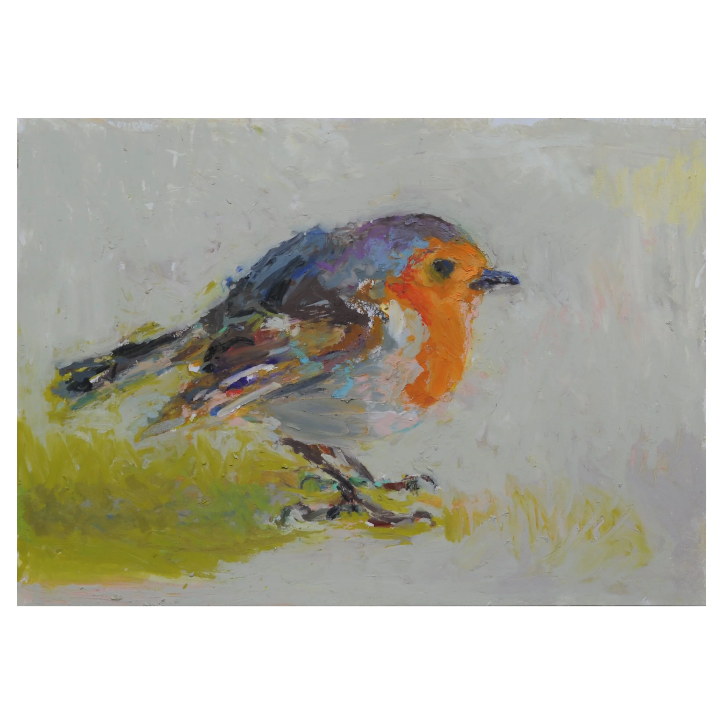 011373_Waiting.Robin_19.01.2025_oil.pastel.and.pencil.on.paper_14.7x21cm.highgate.jpg