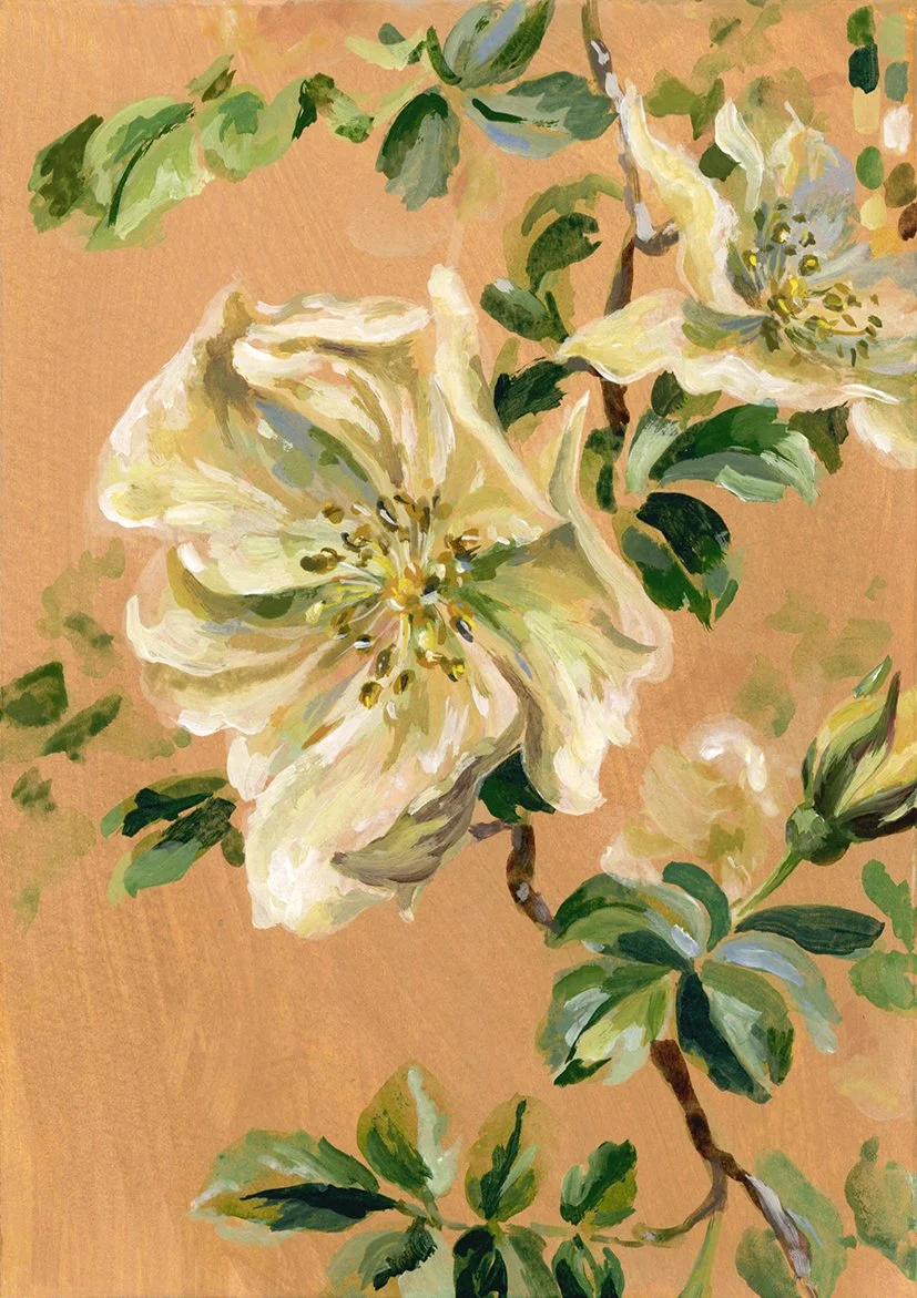 Chloe Gregory_Wild Rose II_£50_10.5cmx14.5cm_Gouache and acrylic on paper.jpg