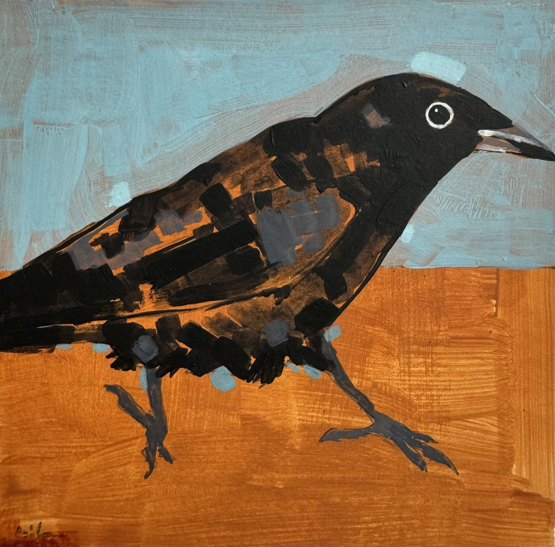 Christopher Rainham Crow Walking 12.5x12.5cm acrylic on 300gsm paper £50.jpg