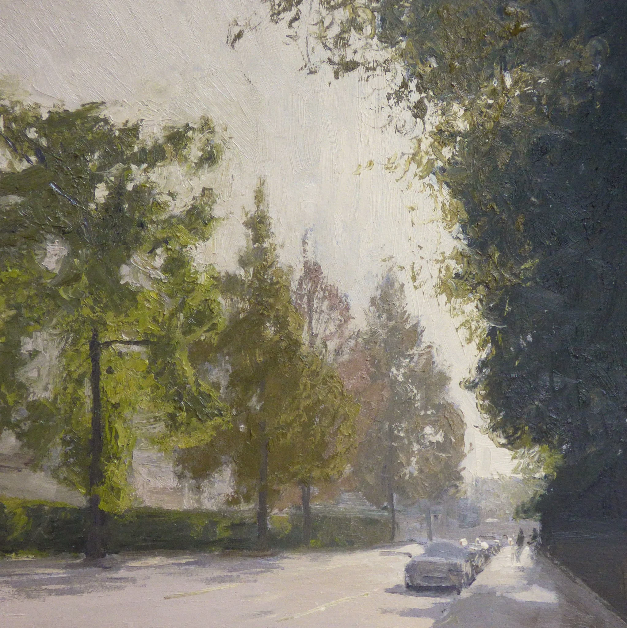 Morning Light Through Trees