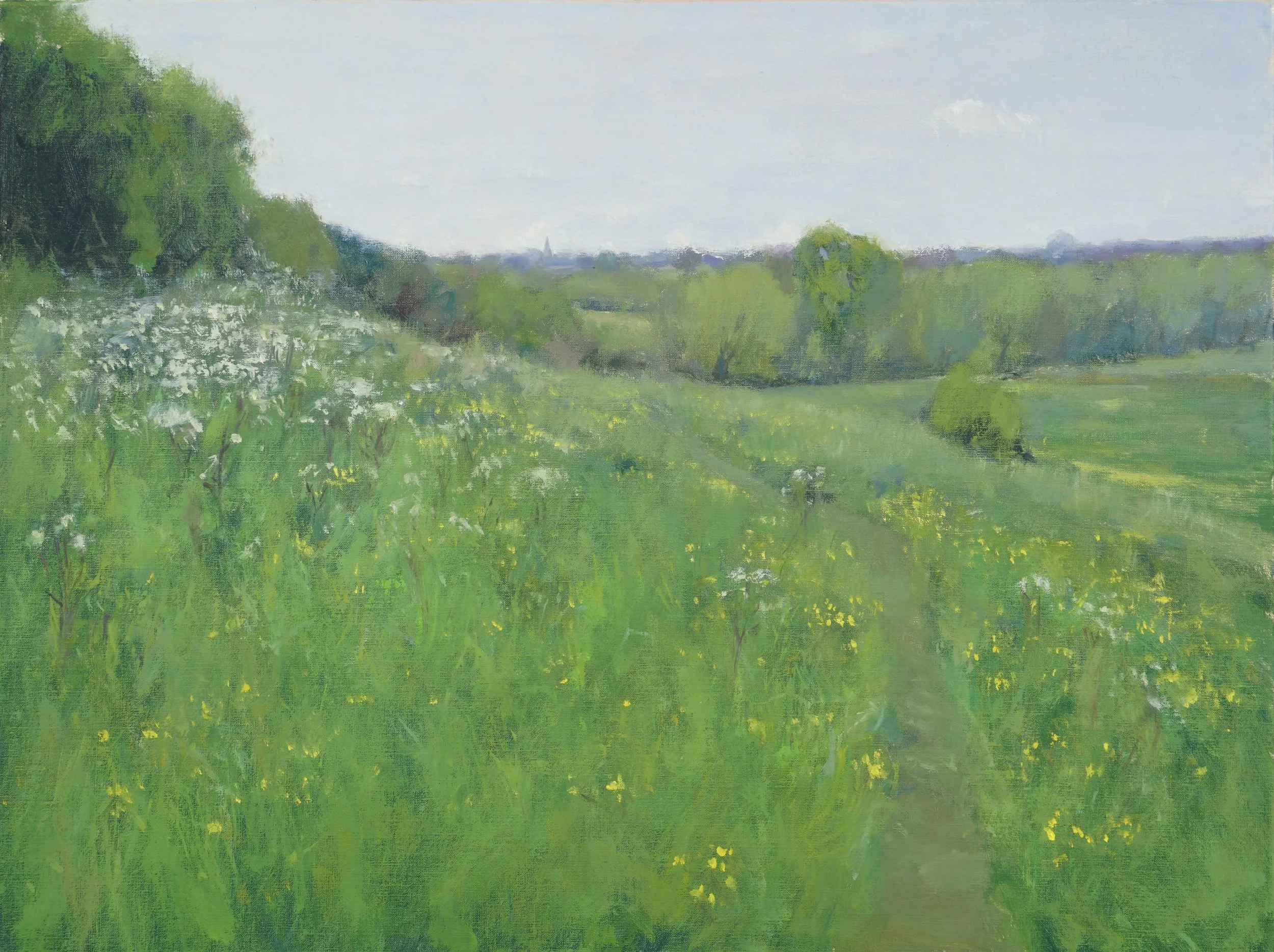 Oil-Painting-Buttercups-and-Cow-Parsley-Windrush-Valley.jpg