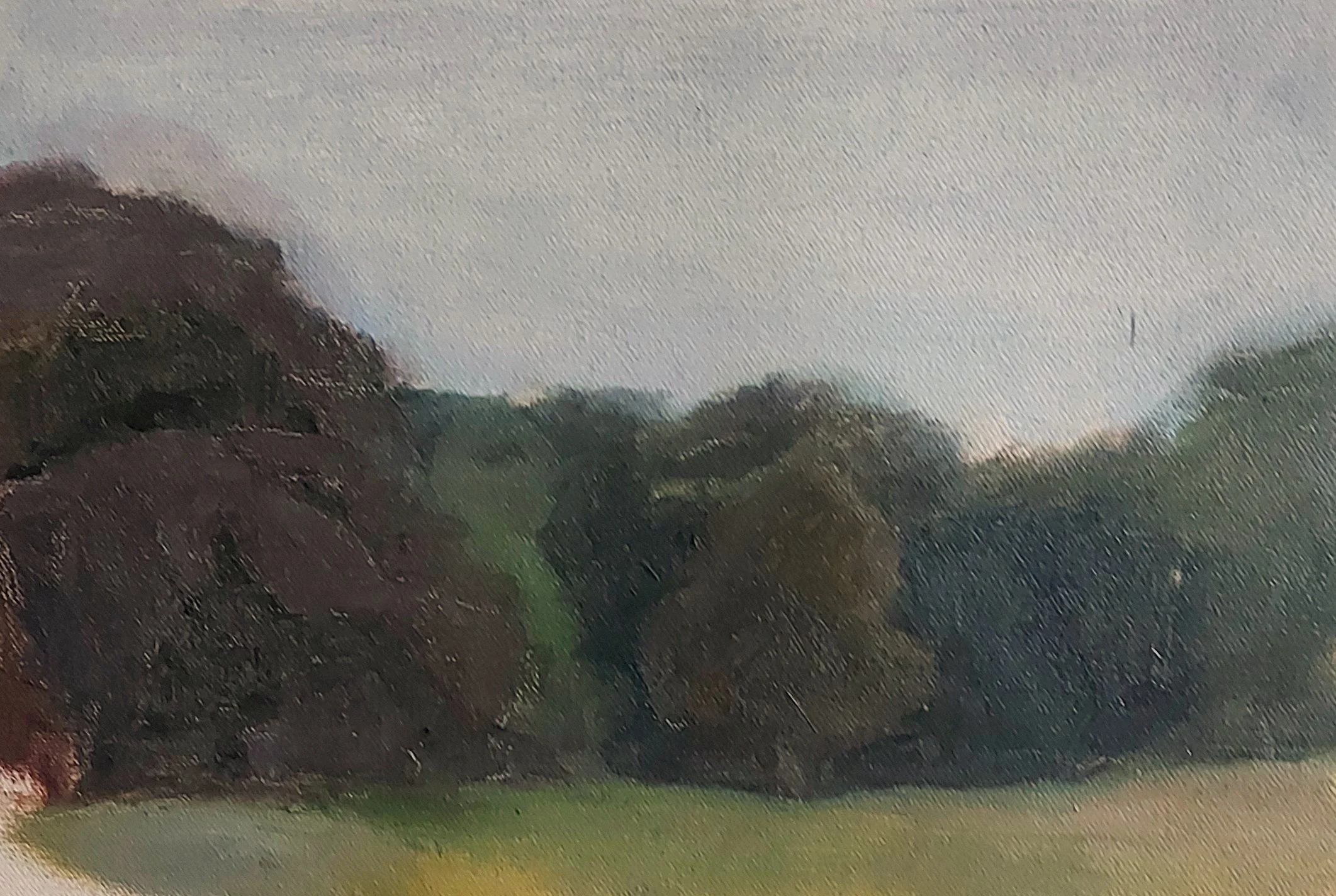2025-11 HCA Trees on the Heath by Anya Joanes.jpg