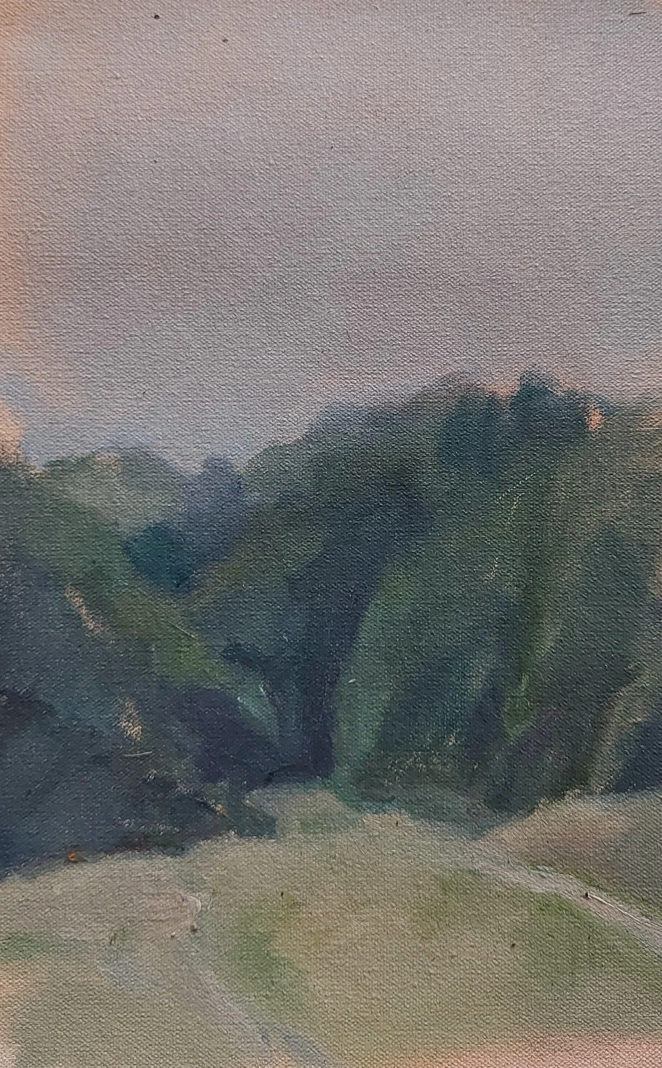 2025-11 HCA Heath Path Study by Anya Joanes.jpeg