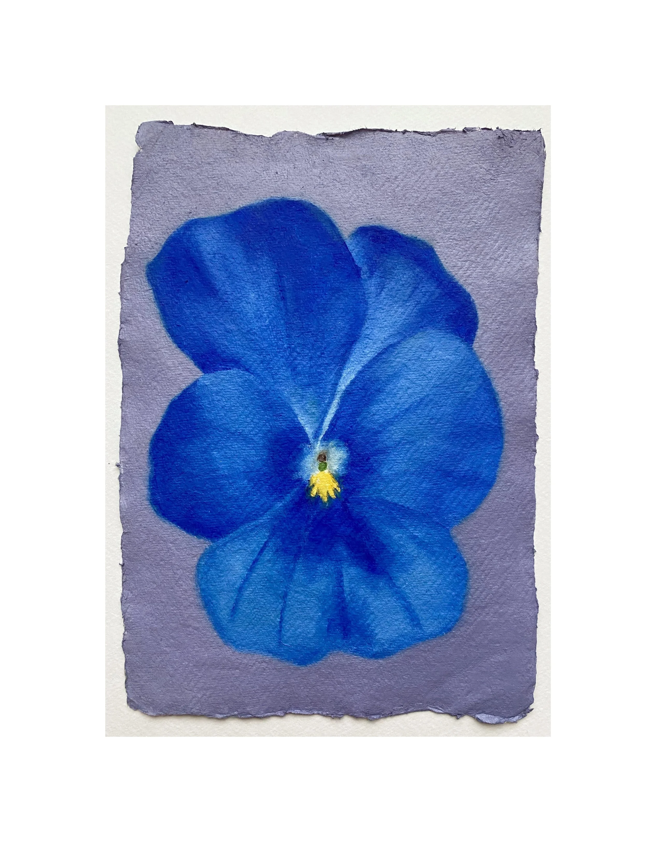 Sophia Ponte- The violet hour-min.jpeg