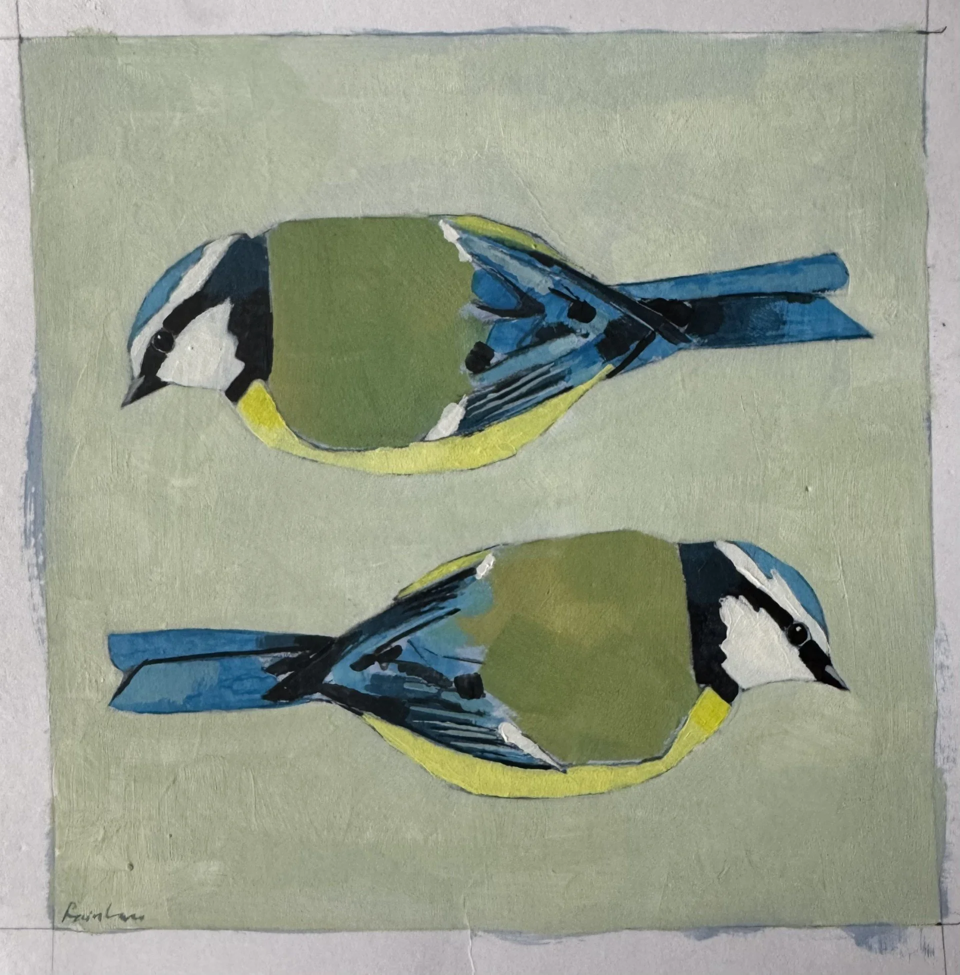 Two Blue Tits 12.5x12.5cm acrylic on 300gsm paper £50.jpg