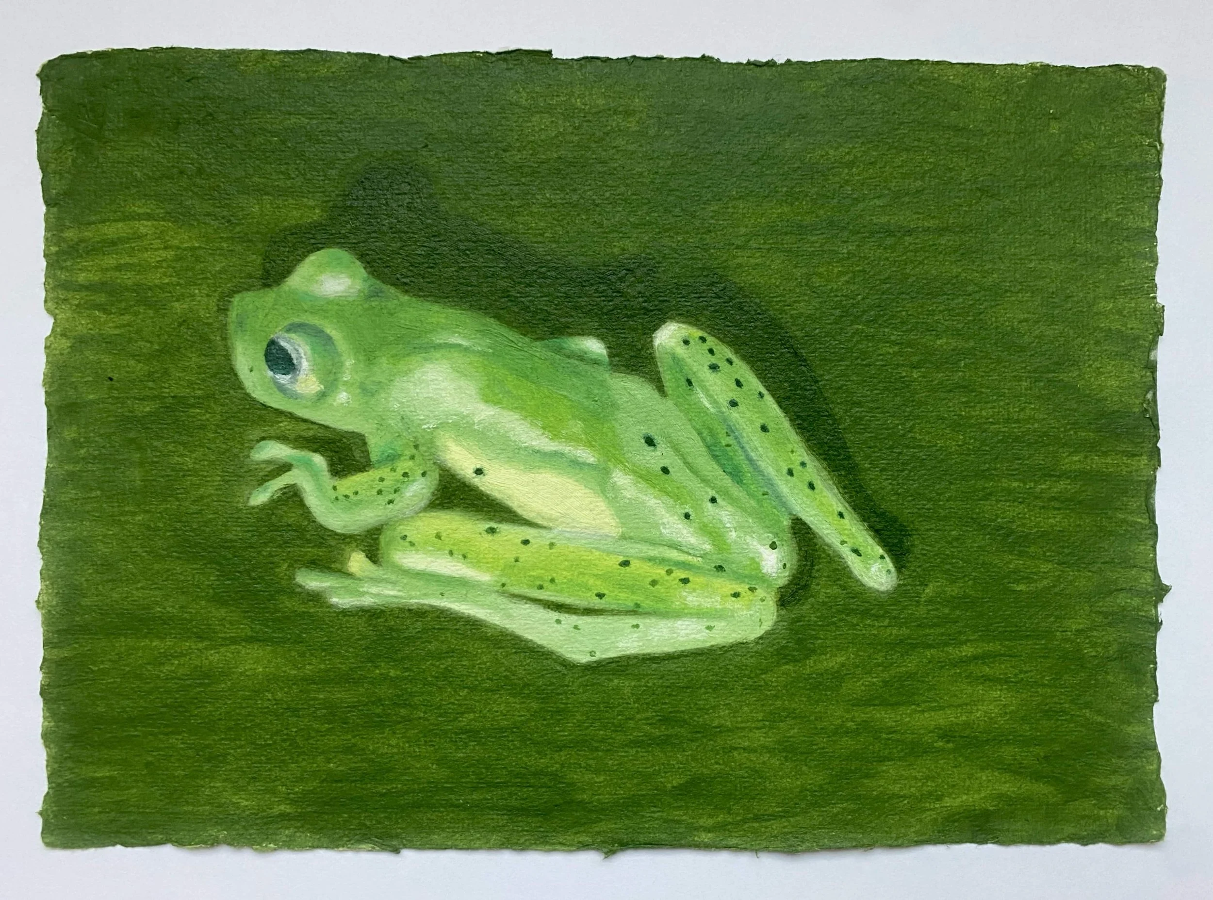 Sophia Ponte- Glass frog-min.jpeg