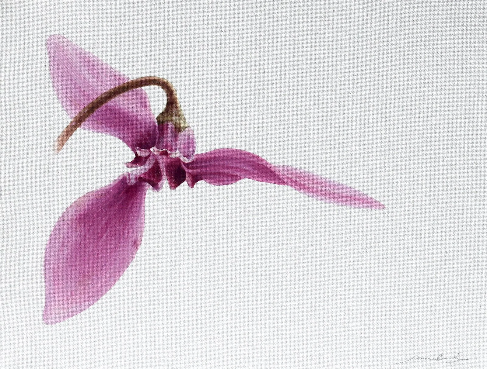6.Cyclamen, 18x24cm, Oil on Canvas, £250.JPG