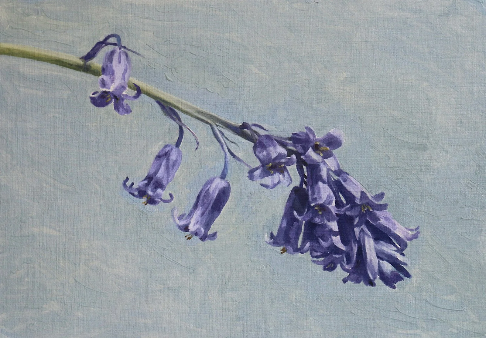 12.Bluebells, Sunlight and Shadows, 18x25.5cm, Oil on Canvas Paper, £150.JPG