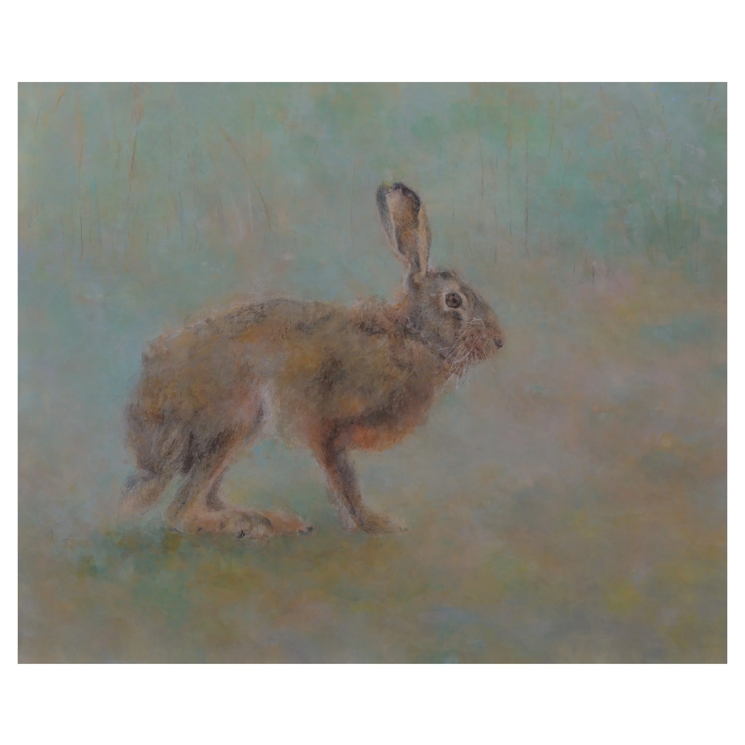 Anna.Dickerson_Crouching.Hare_acrylic.on.canvas_45.7x55.8cm_950GBP Anna Dickerson.jpg