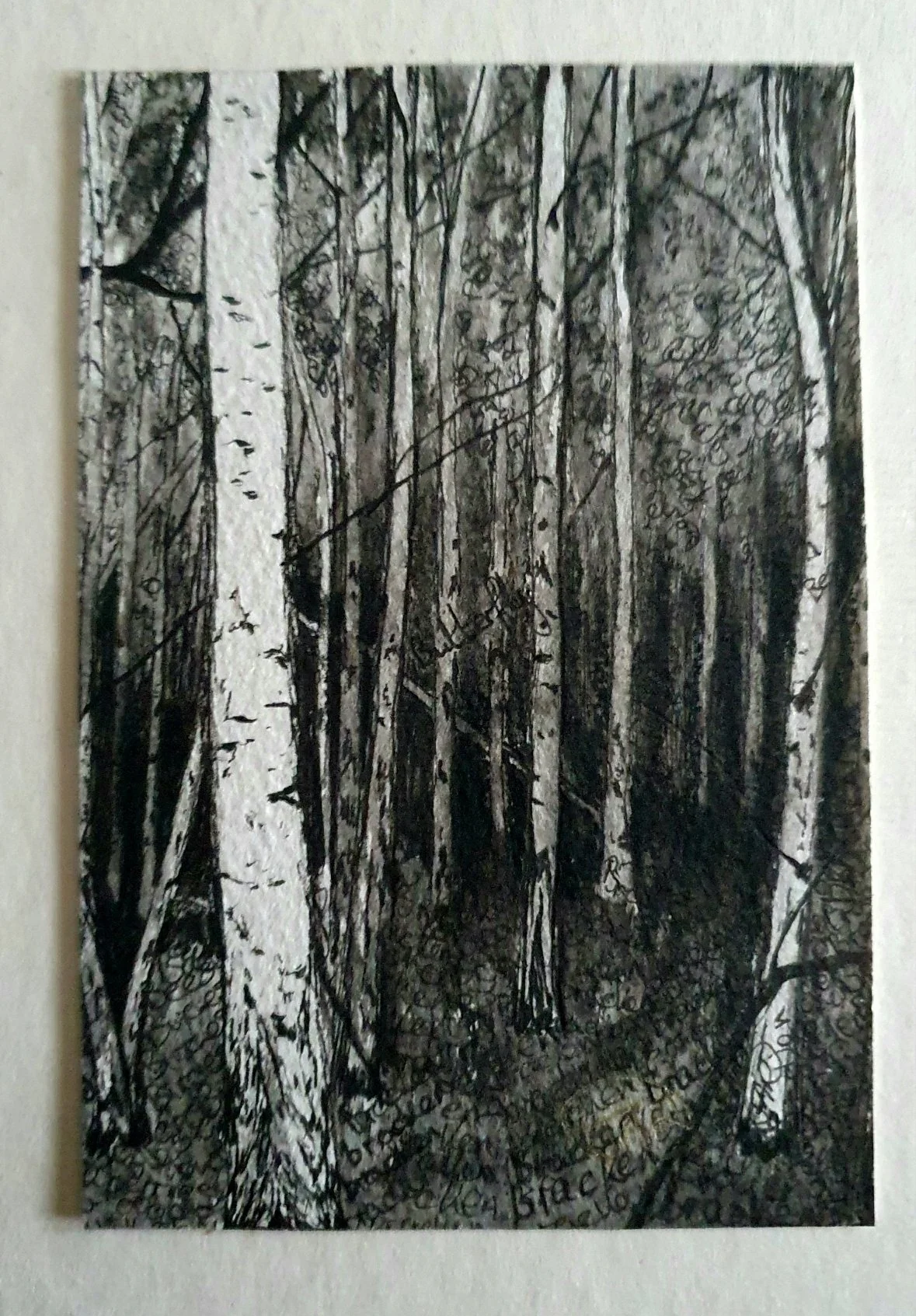 JR-Woodland 3-ink drawing on paper 10x15cm-£50_resized_1.jpg