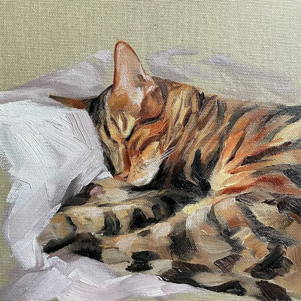 'Forty winks', 20x20cm, £100, Oil on Canvas Board, Grace Taylor..jpg