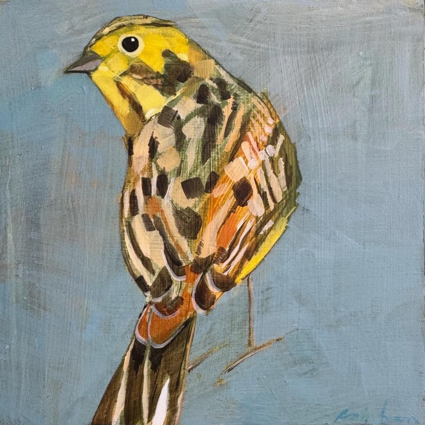 Christopher Rainham Yellowhammer 10x10cm acrylic on wooden block Gall P £120.jpg