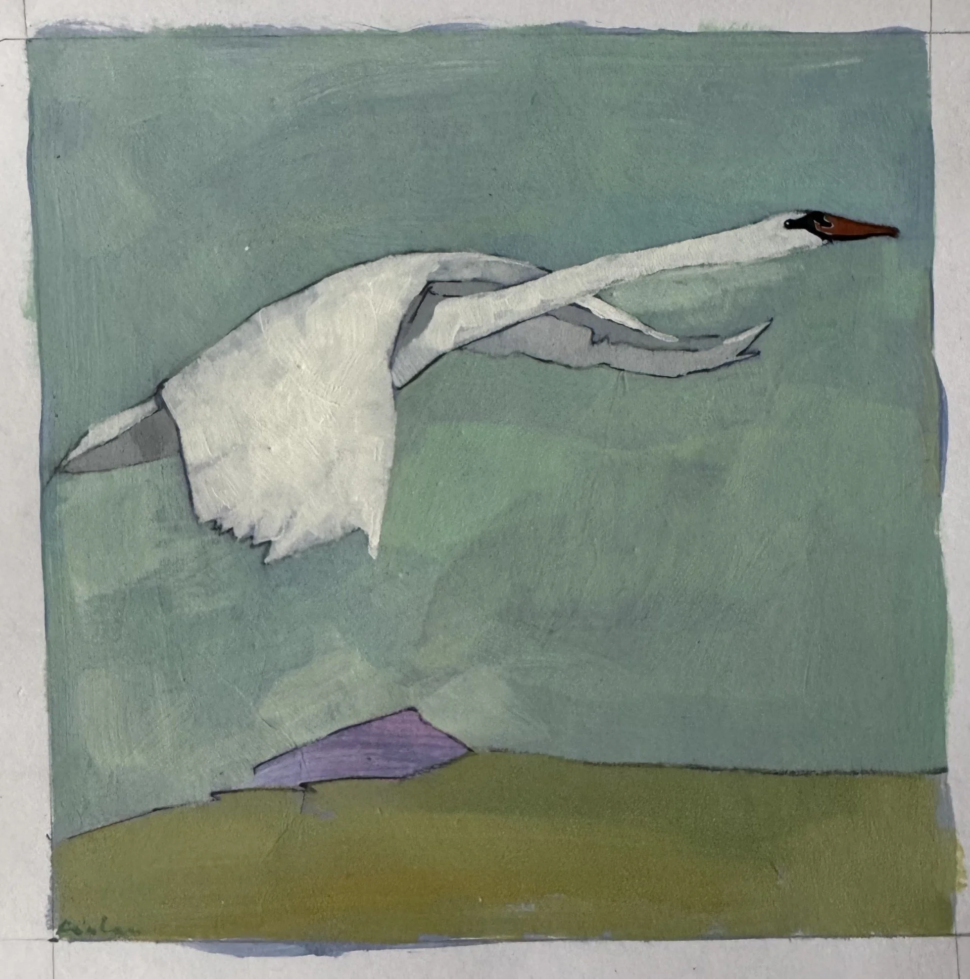 Swan flying 12.5x12.5cm acrylic on 300gsm  paper £50.jpg