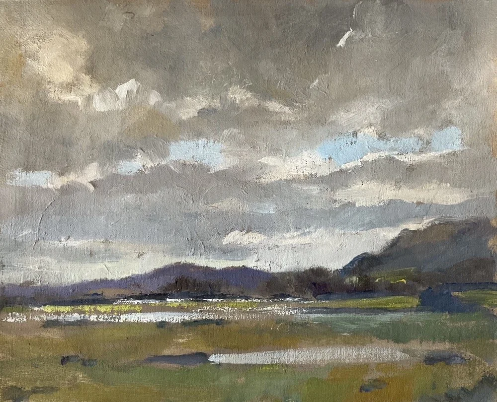 After the rain. Oil on canvas board 24x30cms £50.00 PatriciaTurner.JPG