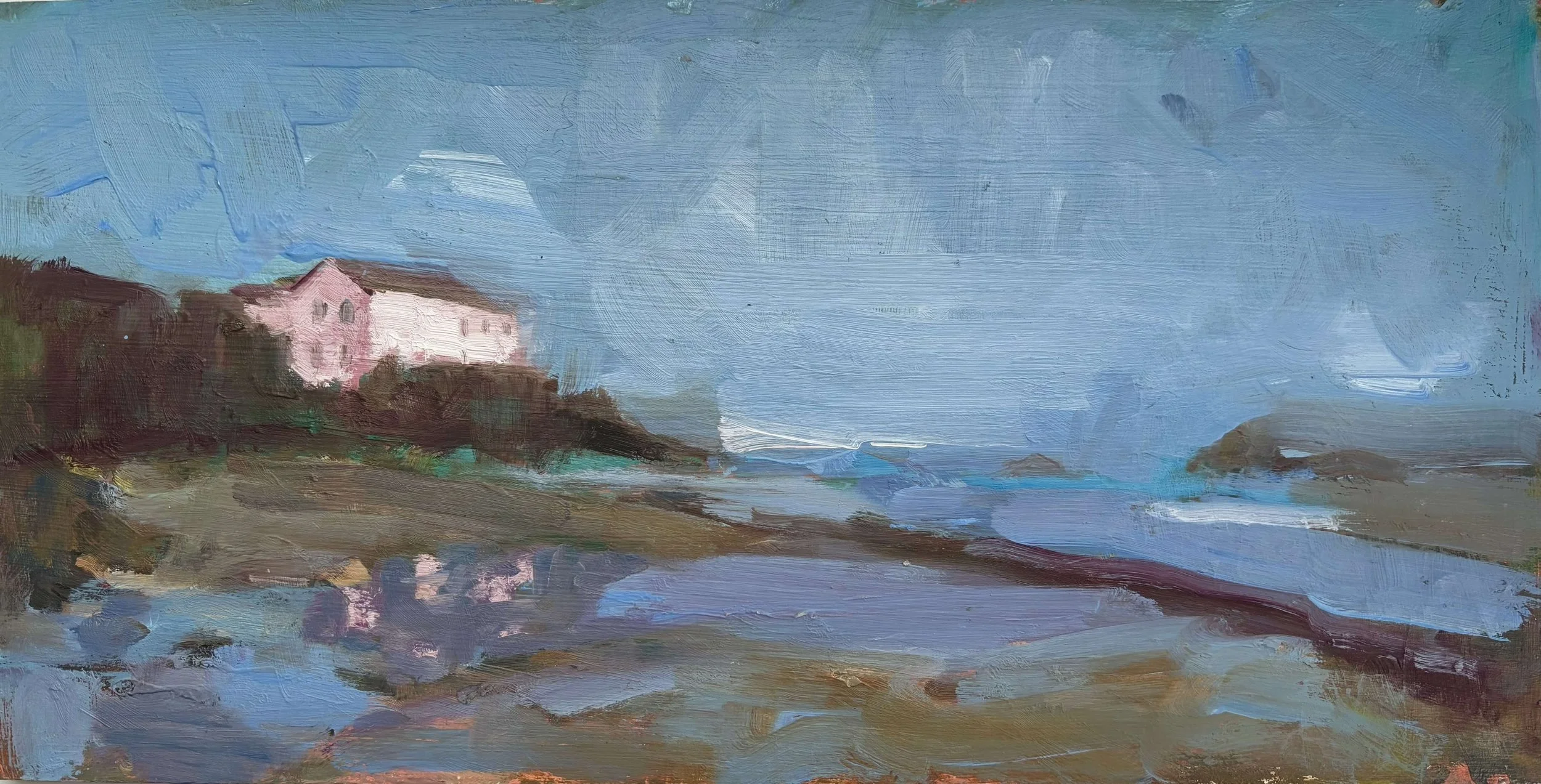 Polzeath Pink 15 x 30cm Susannah Phillips Oil on board £160 copy.jpg
