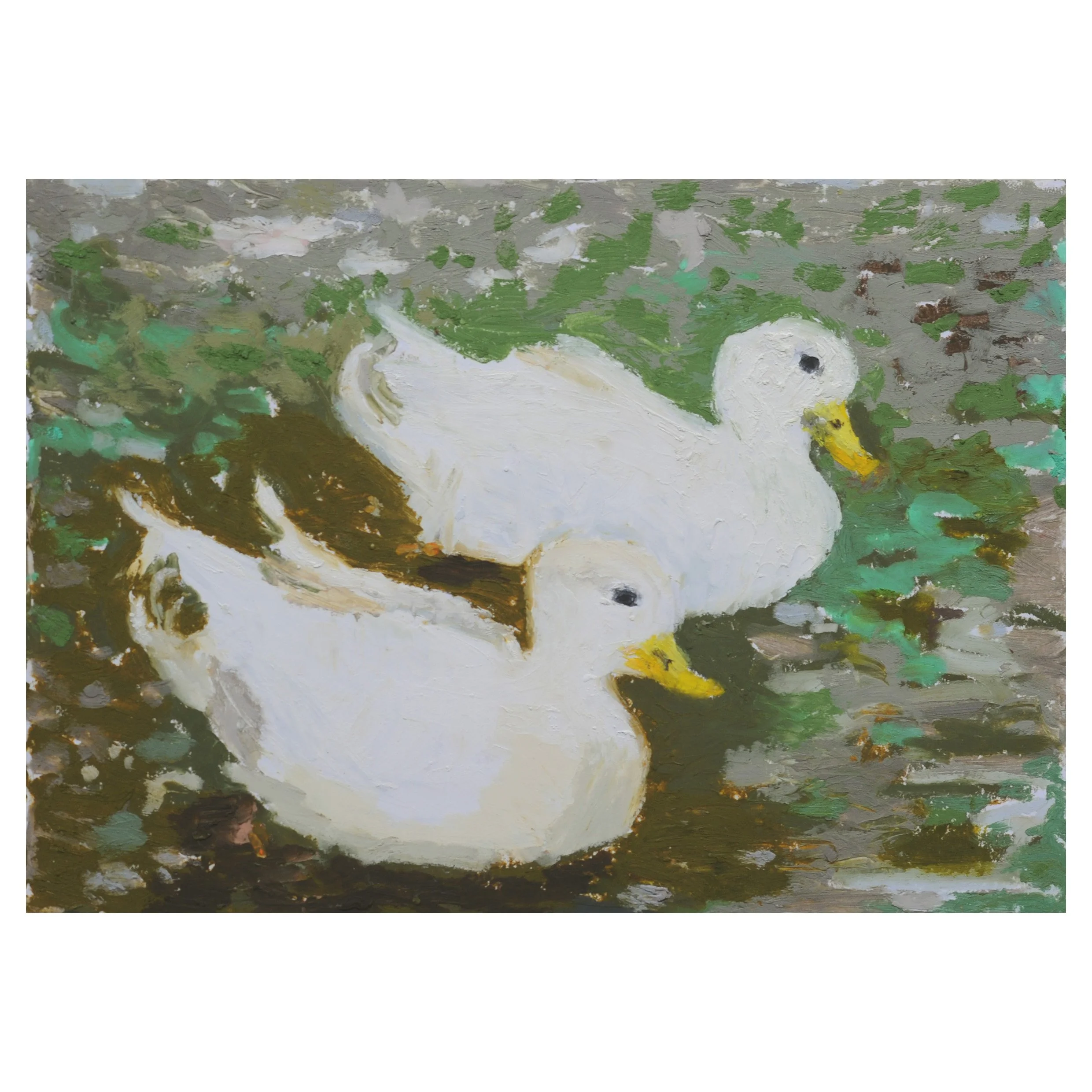 Anna.Dickerson_Call.Ducks_oil.pastel.and.pencil.on.paper_14.7x20.8cm_110GBP Anna Dickerson.jpg