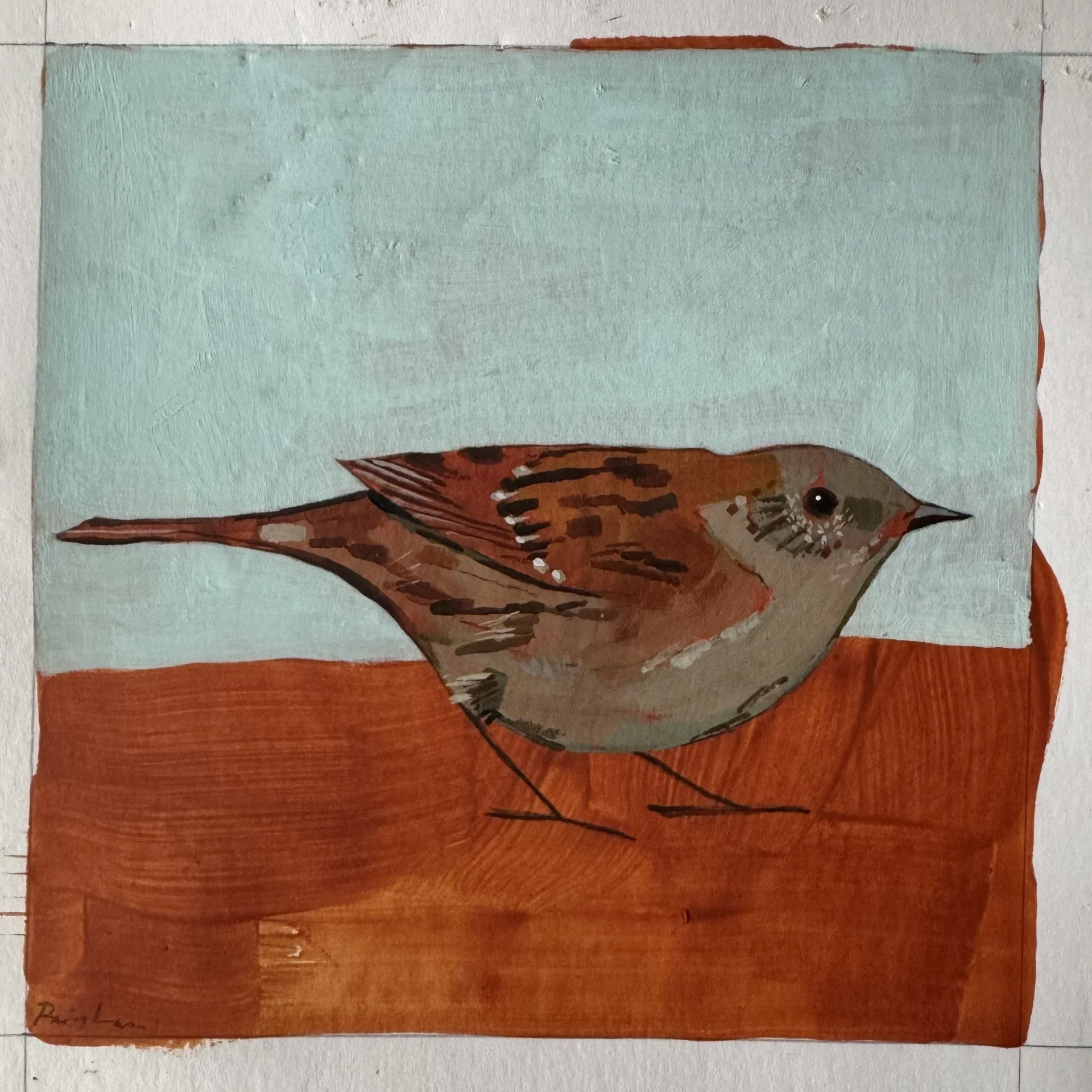 Dunnock 12.5x12.5cm acrulic on 300gsm  paper £50.jpg