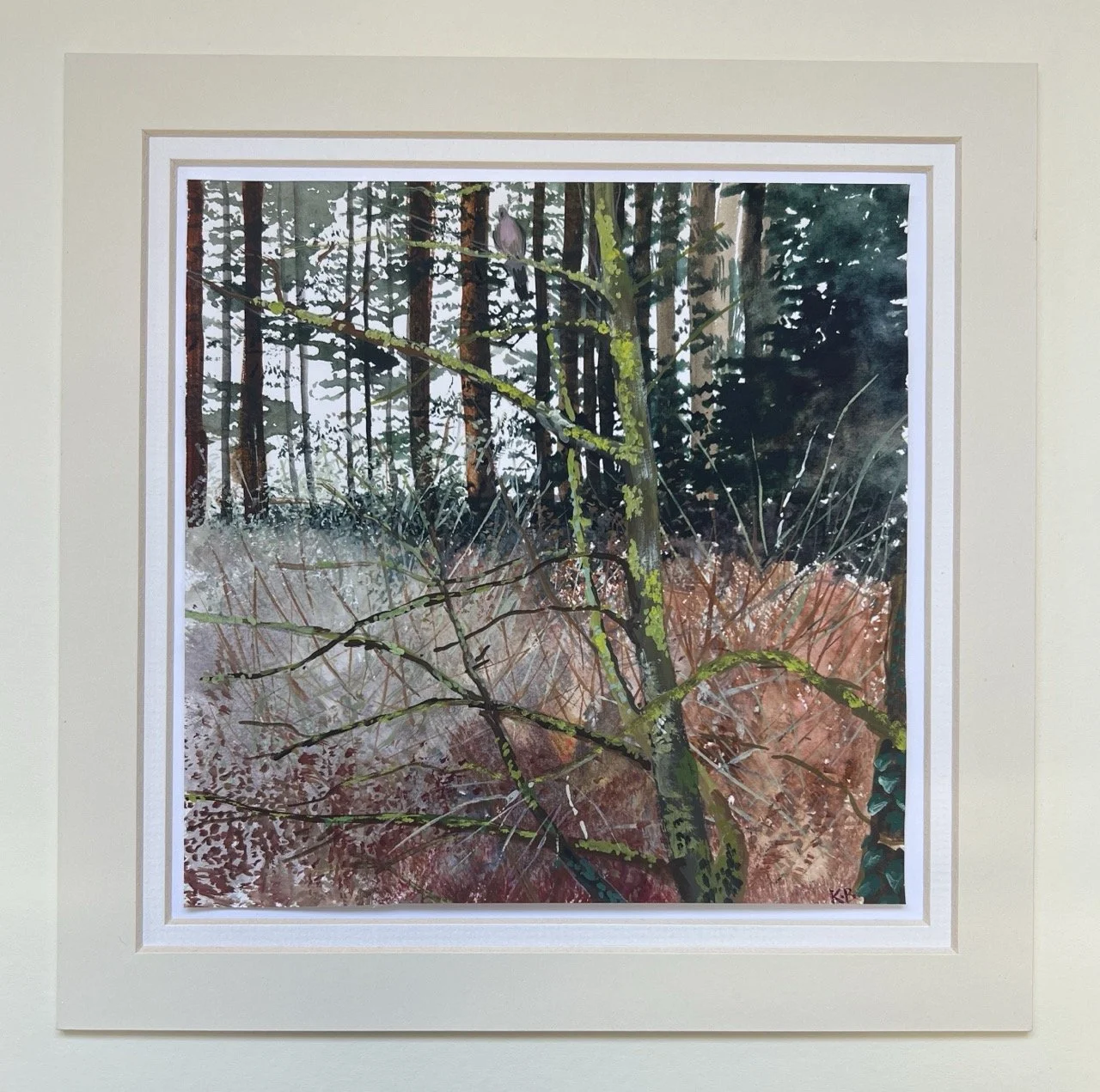 Katie Brent Lichen and Wood Pigeon with mount 25x25cm.JPG