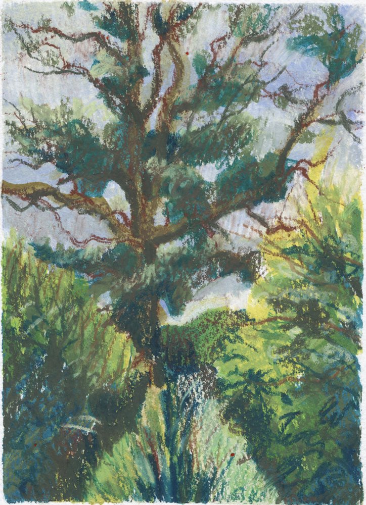 Kate Chitham-Ash tree Barns farm-mixed media-13cm x 17.5cm-£50.jpeg