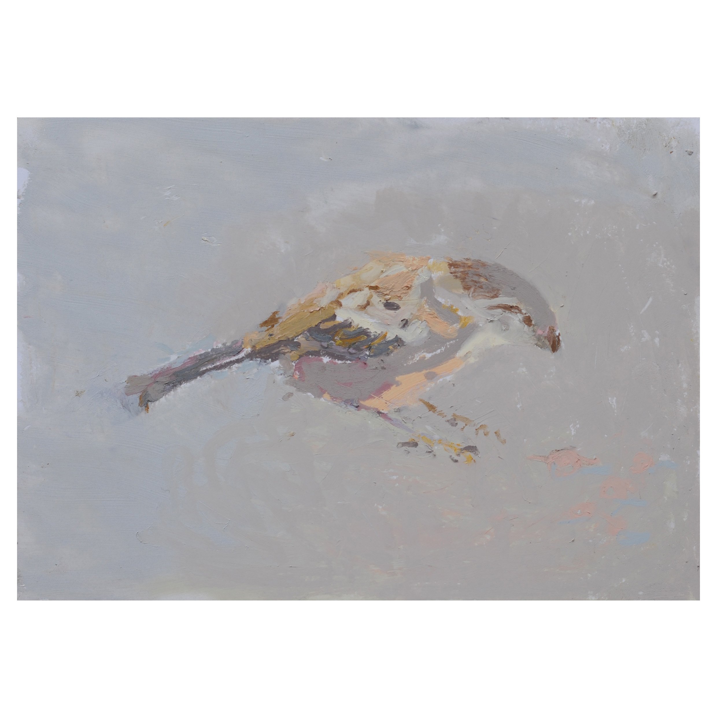 011184_Mrs.Sparrow.27.05.2020.oil.pastel.on.paper_14.7x20.8cm.jpg