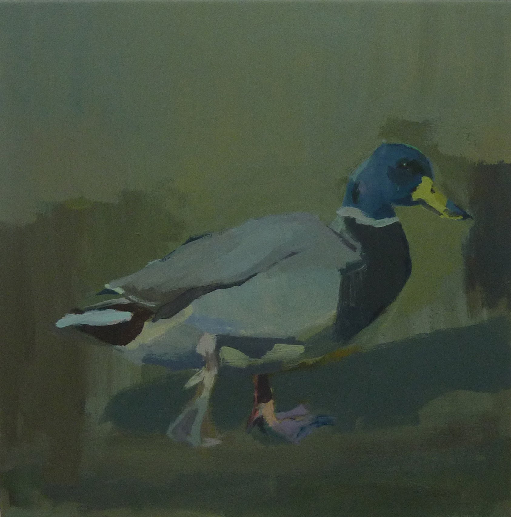 Anna.Dickerson_Mallard.Sweden_Acrylic.on.canvas_51x51cm_525GBP Anna Dickerson.jpg