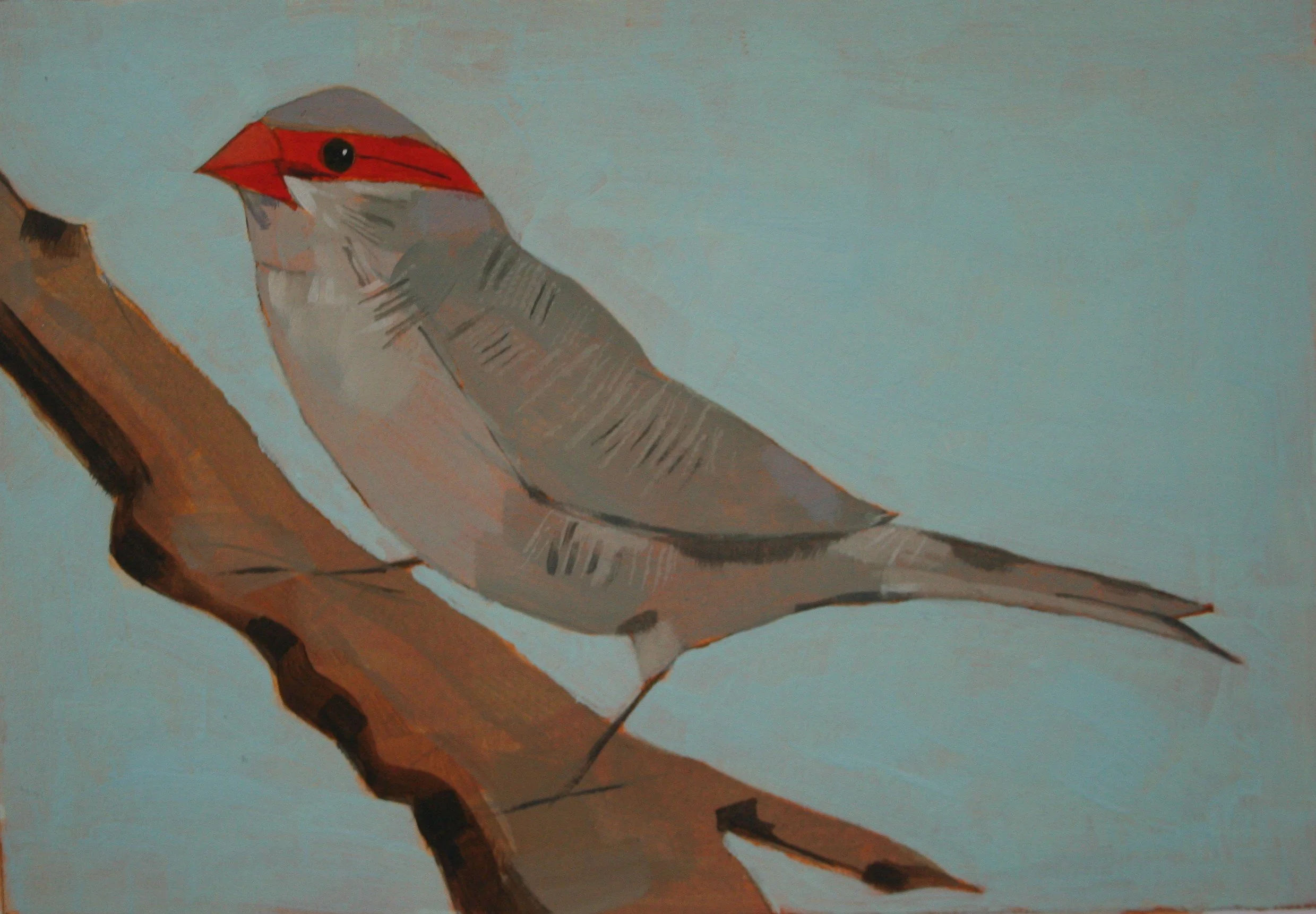 Christopher Rainham Waxbill 10.5x15cm acrylic on 300gsm paper £50.JPG