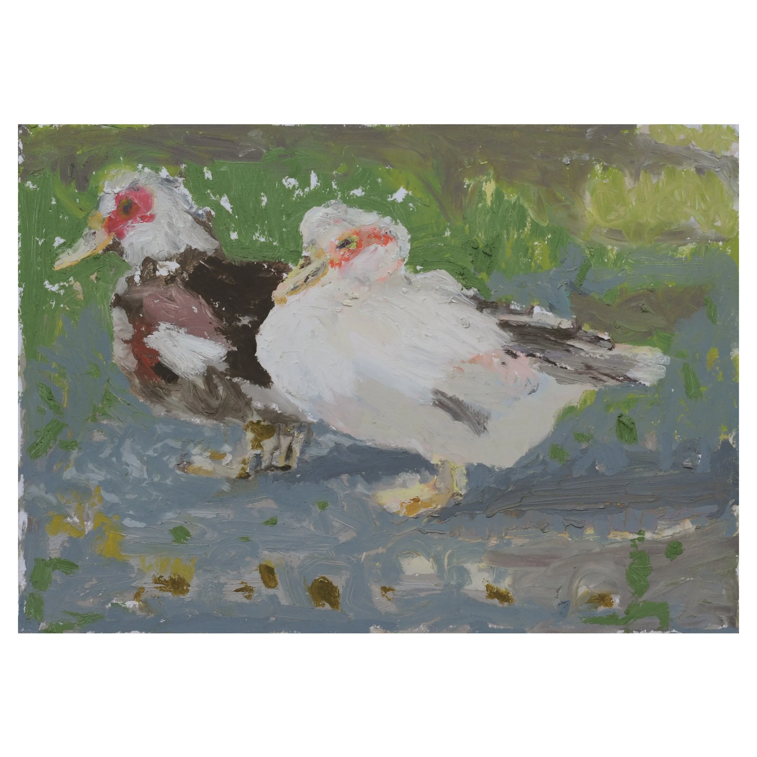 011293_The.Duo.Muscovy.Ducks_.14.052022_oil.pastel.and.pencil.on.paper_14.7x20.8cm.jpg