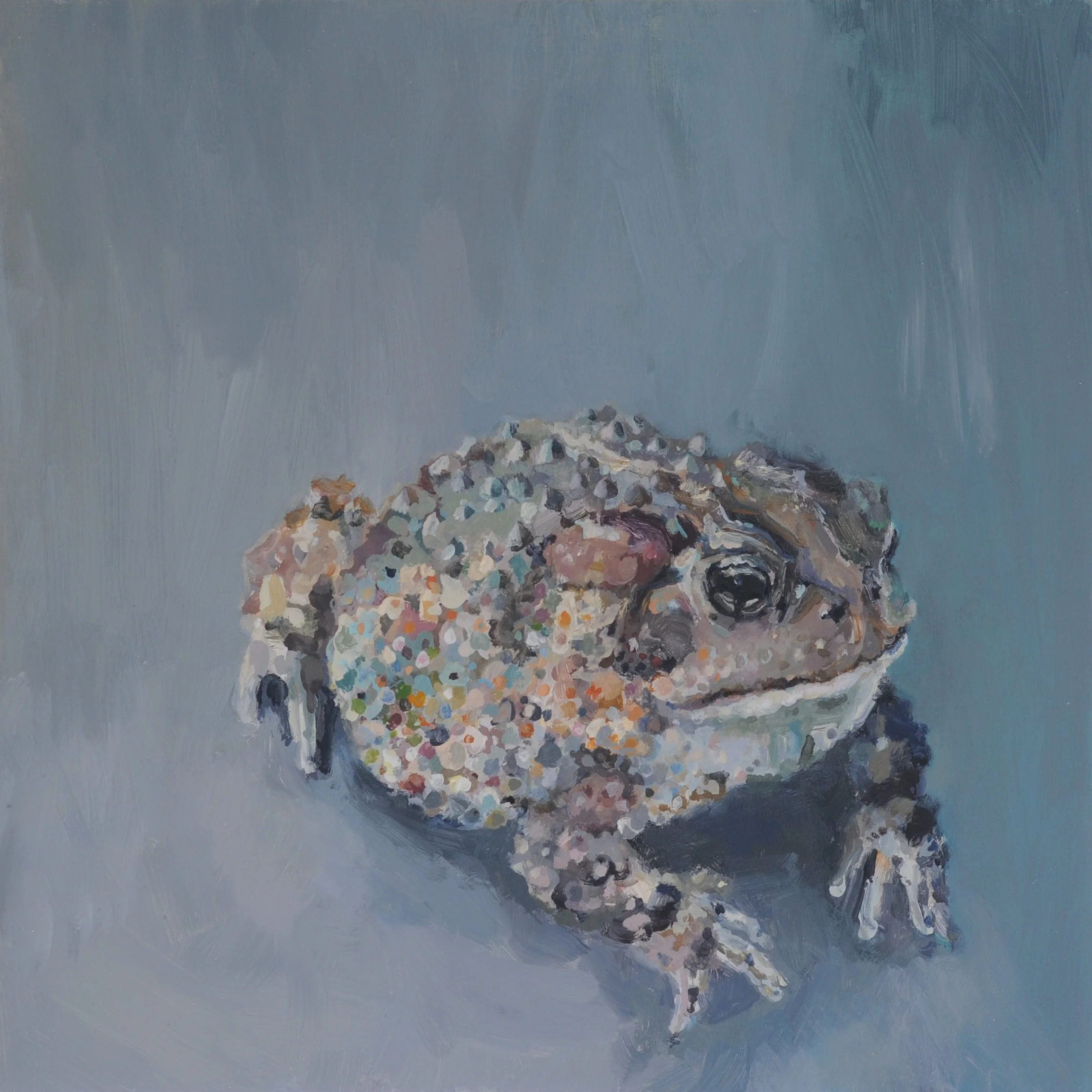 Anna.Dickerson_The.Captain.Toad.Dynasty_Oil.on.panel_30x30x2.8cm_800GBP.jpg