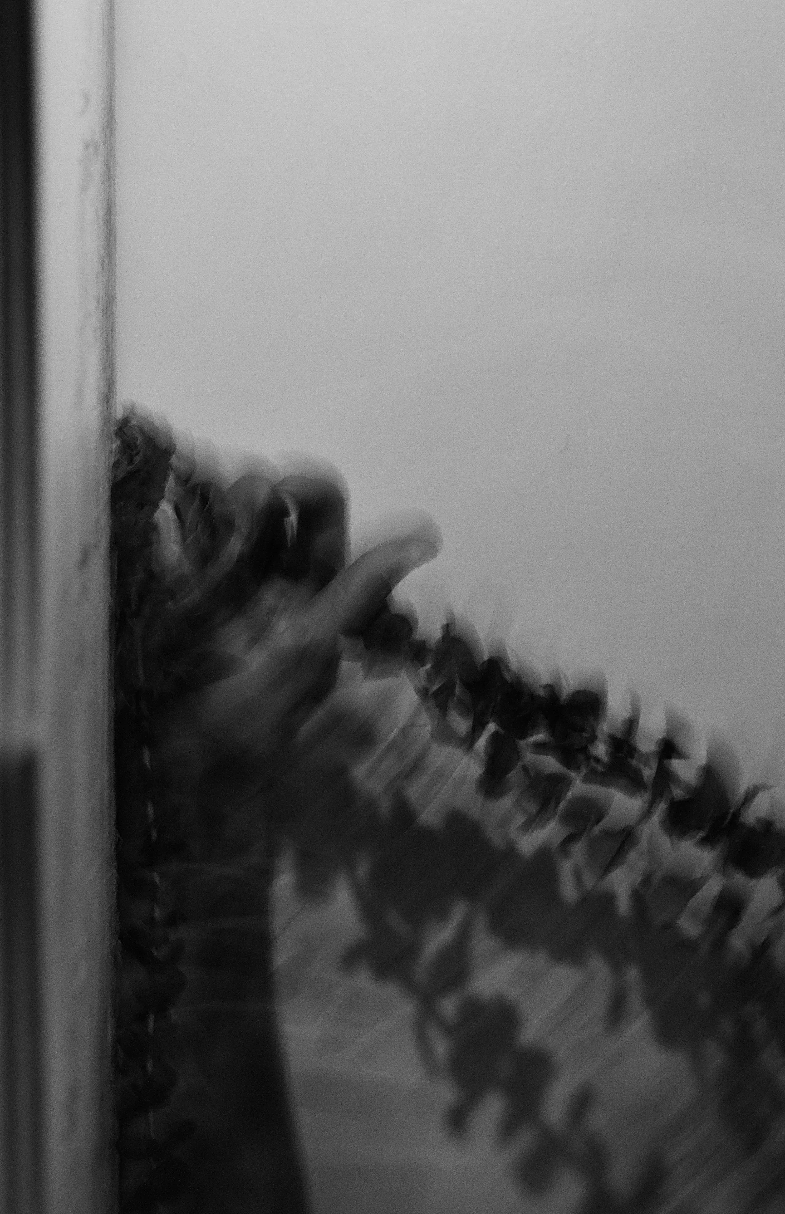 _MG_2825 copy.jpg